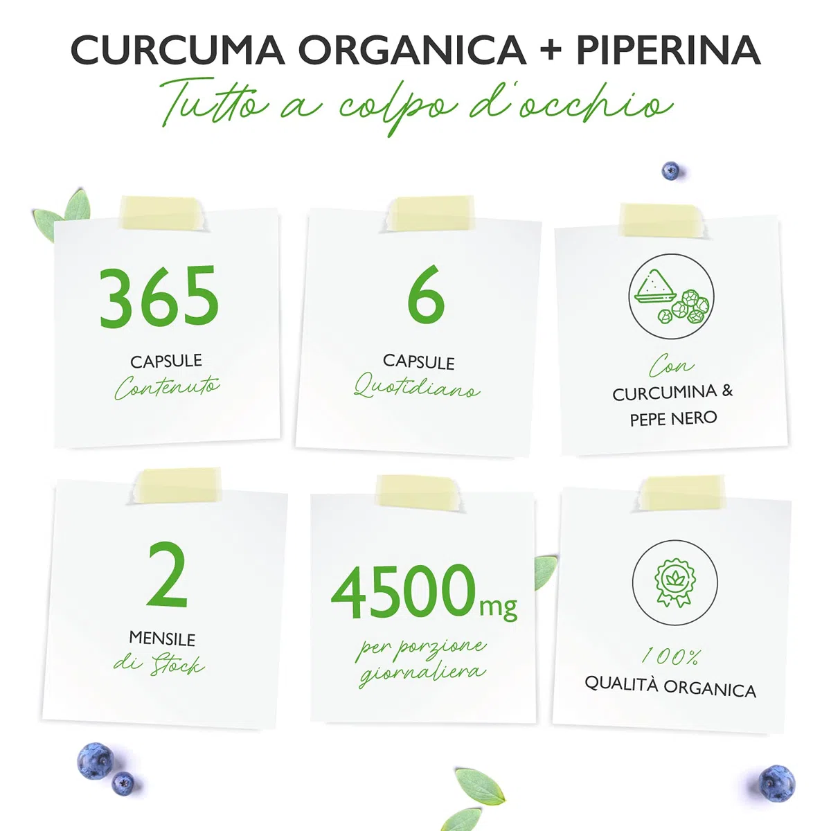 Vit4ever Bio Curcuma - 365 capsule vegane - 4560 mg (curcuma biologica + pepe nero) per dose giornaliera - Con curcumina e piperina - Altamente dosato - Vegan