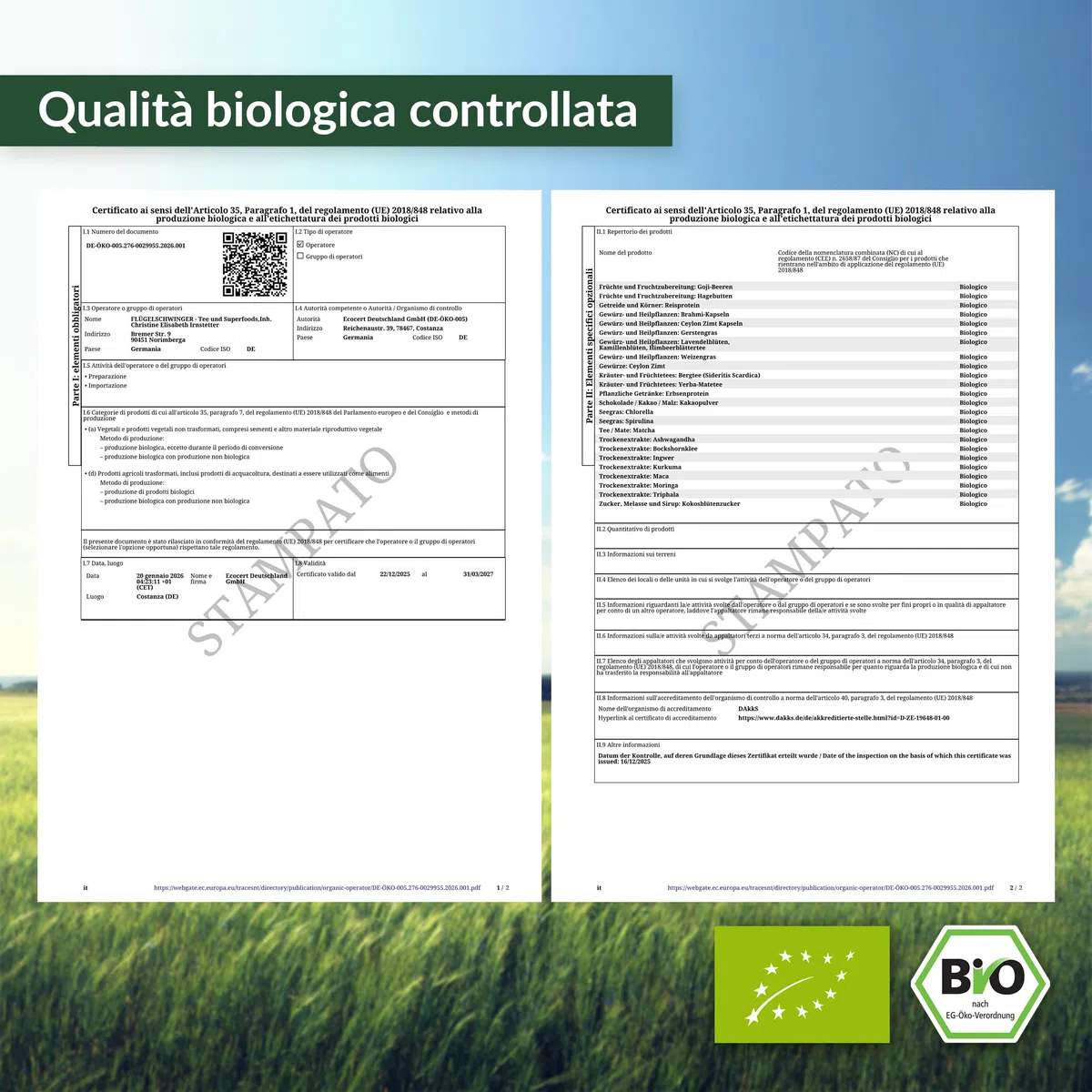 1 kg proteine di pisello BIO da piselli gialli dal gusto neutro, naturalmente vegano, senza lattosio e senza soia (1000 g)