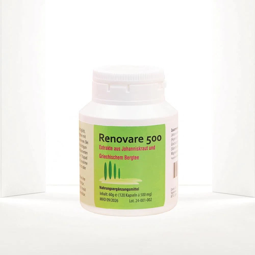 Renovare 500