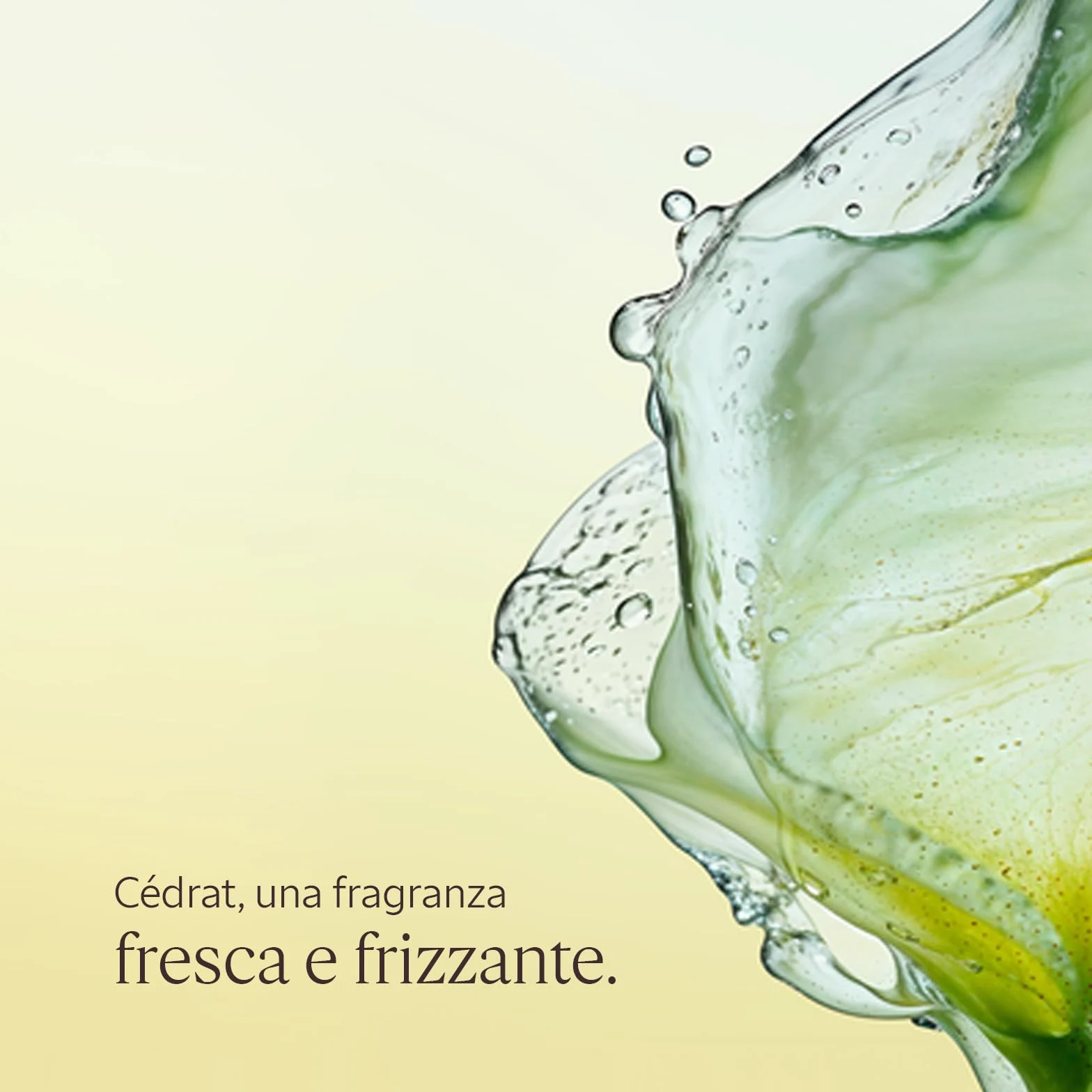L'OCCITANE - Gel Crema Dopo Barba Cédrat - 75 ml - Idrata e riduce le irritazioni - Prodotto in Francia