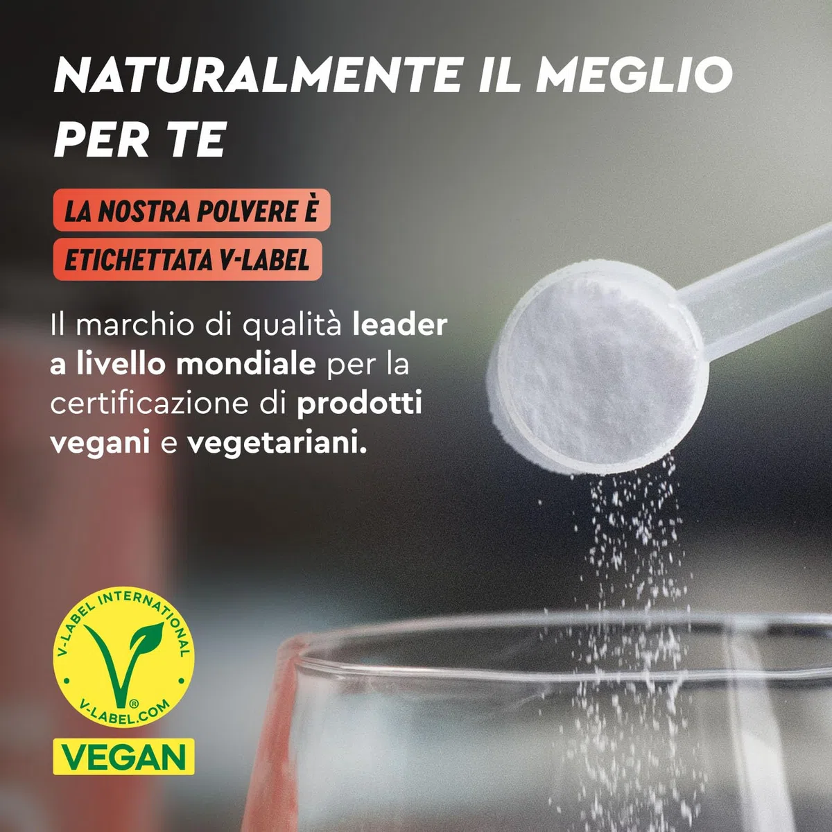 Beta Alanina in polvere 1000g - 5000mg per porzione - PreWorkout per 7 mesi - Amminoacido vegano alto Dosaggio - Beta Alanina +99% Pura, Senza additivi e Sapore neutro - Qualità testata in Laboratorio