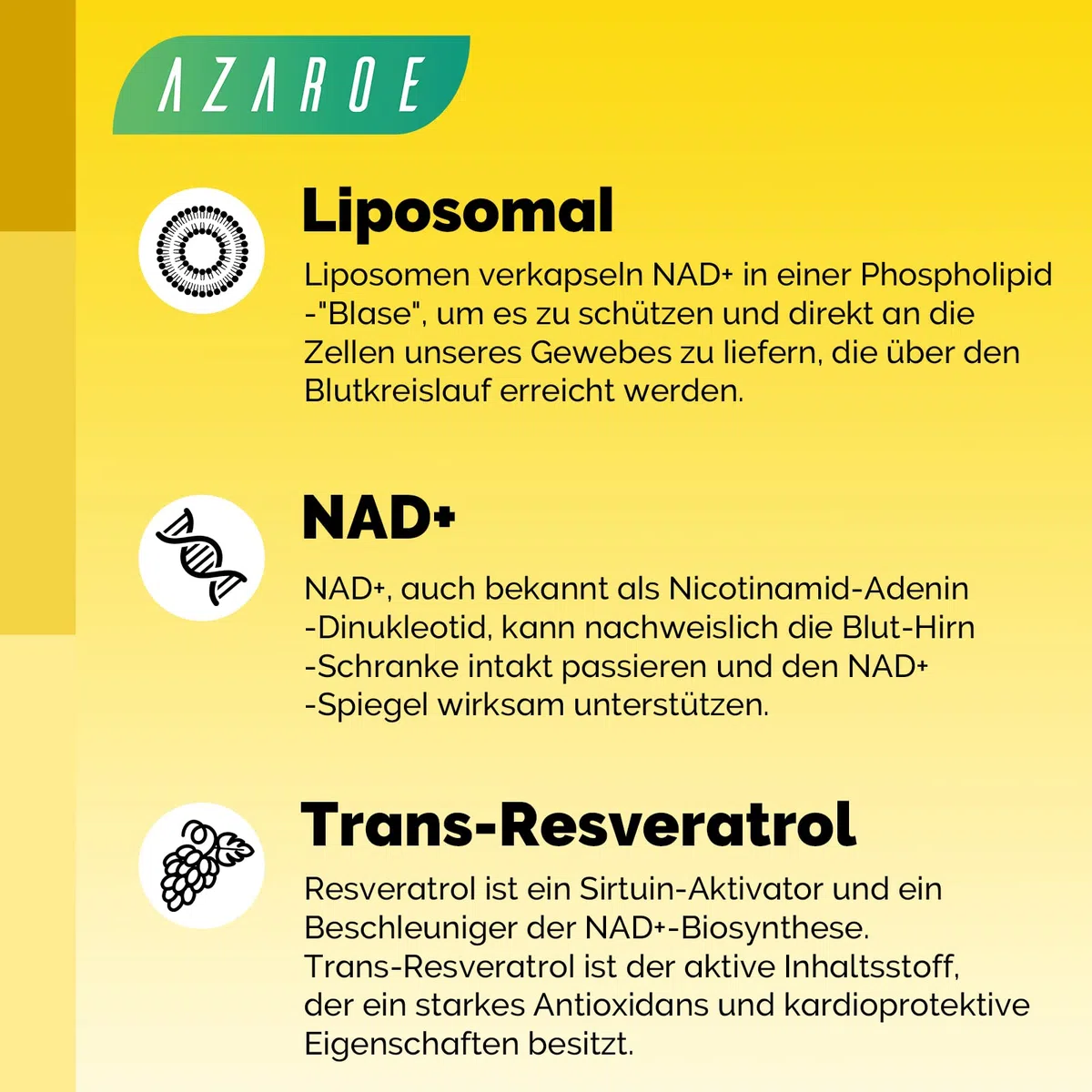 Liposomiale NAD+ e Trans-Resveratrolo Softgels da 800 mg, alternativa all'NMN più efficiente dell'NMN, assorbimento elevato, integratore NAD+ effettivo (60 Softgels (Pack of 1))