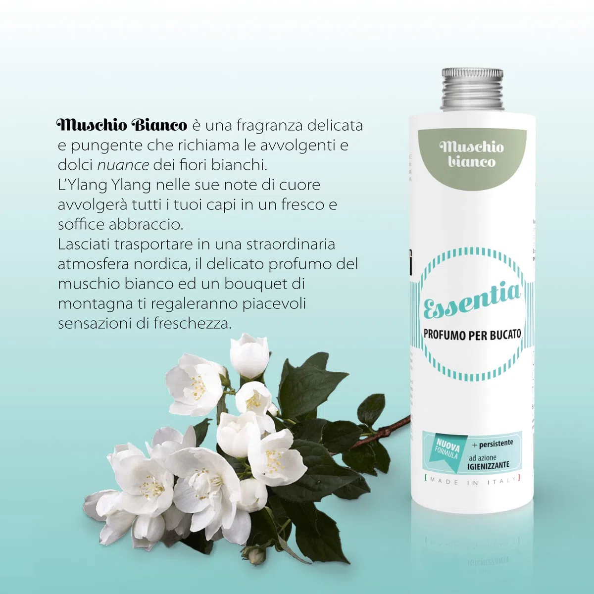 ESSENTIA Profumo per Bucato con Igienizzante, Essenza Profuma Bucato, Profumatore Bucato per Lavatrice con Estratti di Oli Essenziali Naturali (Muschio Bianco, 500 ml, confezione da 1)
