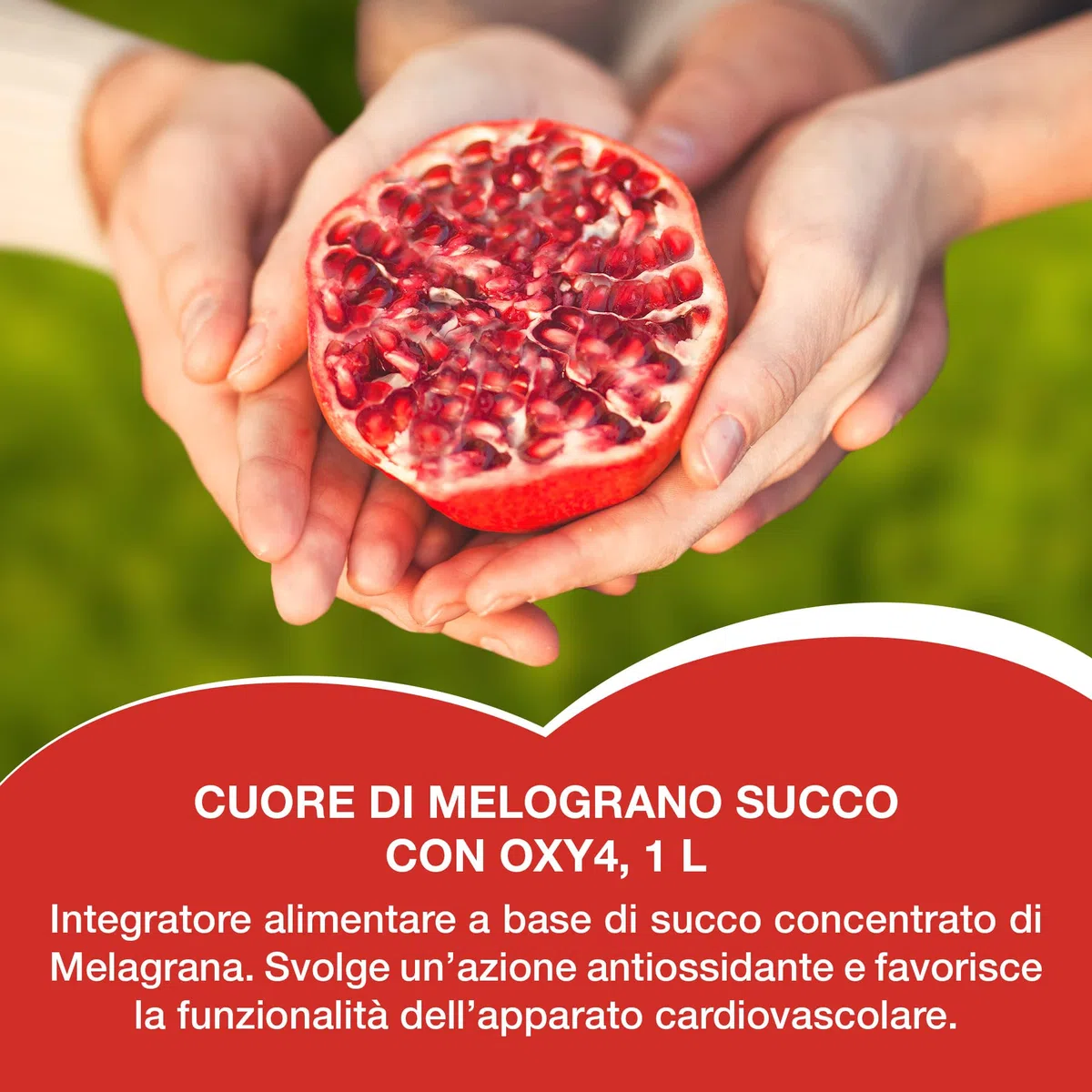 Cuore di Melograno con Oxy4, 1000 ml con succo di melograno e OXY4, antiossidante, benessere cardiovascolare