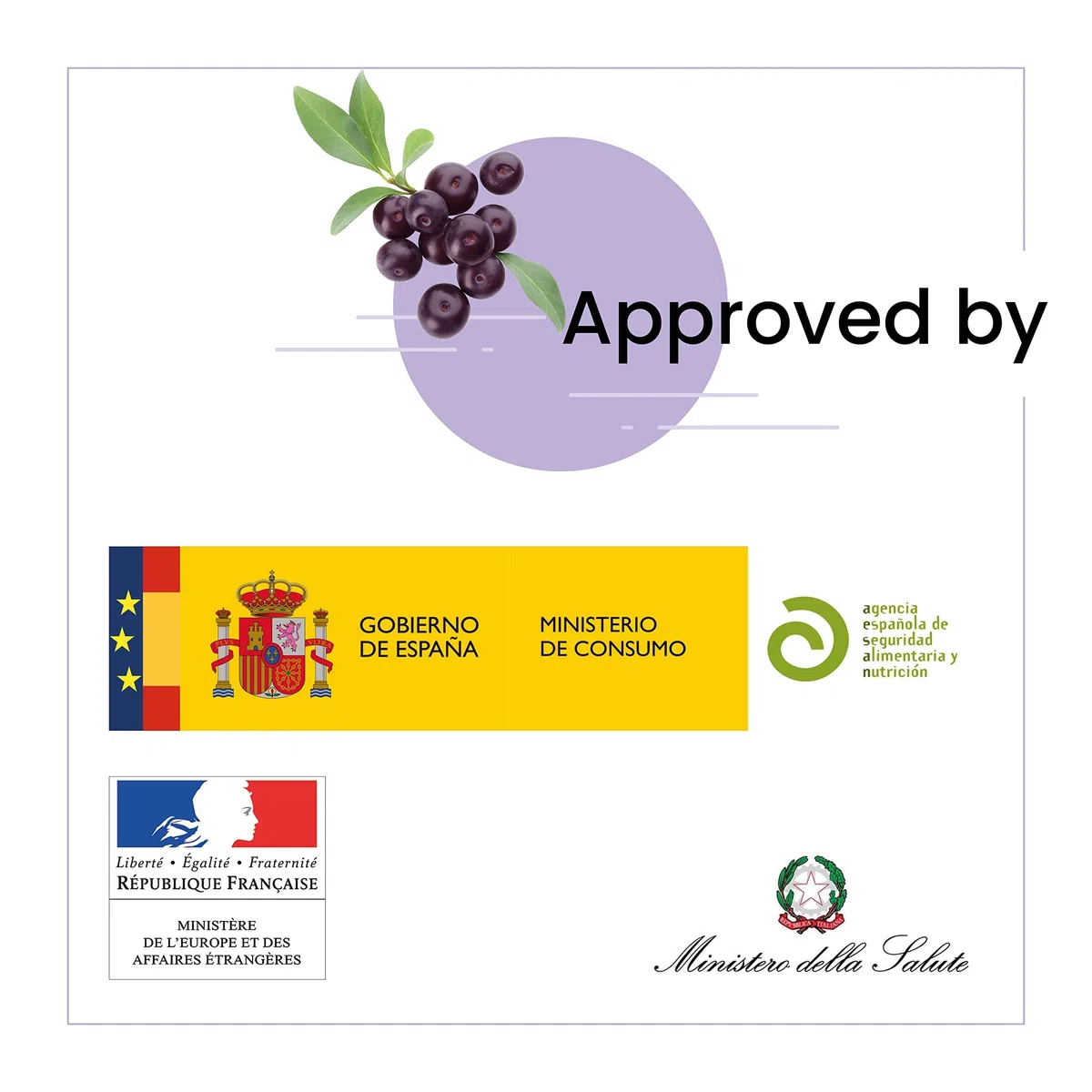 SanaExpert Acai Berry Pack 3. Integratore antiossidante con puro estratto di bacche di Acai alto dosaggio 4000 mg. (120 compresse ogni confezione) Ingredienti naturali. Prodotto in Germania.