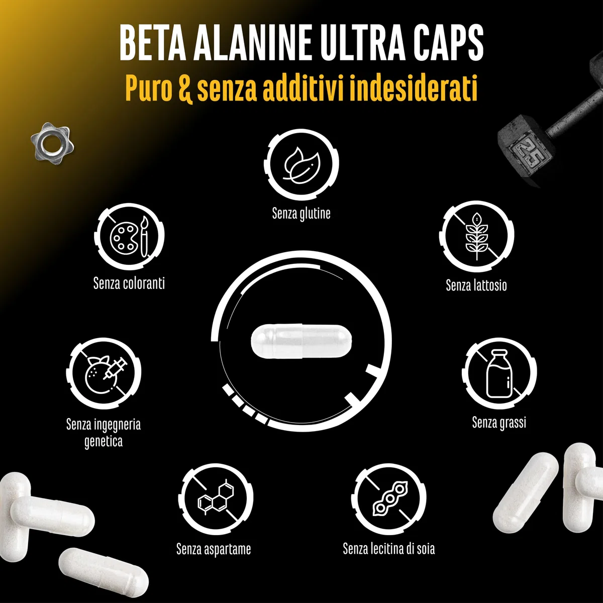 Beta Alanina Ultra Caps - 365 capsule - Dosaggio elevato con 1250 mg per capsula - Beta Alanina aminoacido con purezza del 99% - Senza additivi indesiderati