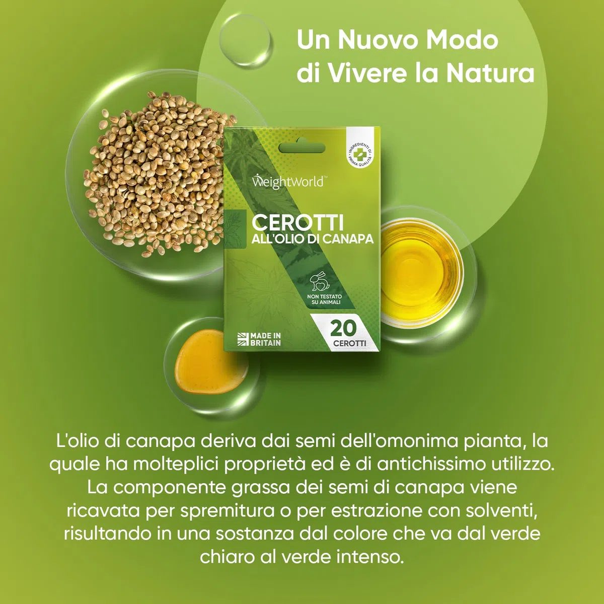 Olio di Canapa in 20 Cerotti Non Testati su Animali (1 ogni 24 ore), Sottili, Discreti, Cerotti all'Olio di Semi di Canapa Prodotti in UK, Pratico Utilizzo, Applicazione Esterna e Solo su Alcune Zone