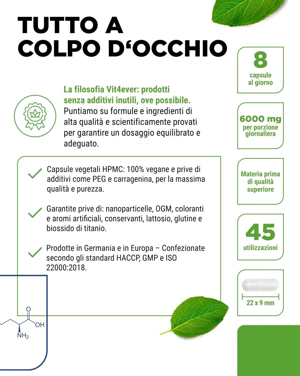 L-Arginina - 365 capsule - 6000 mg di L-Arginina pura per dose giornaliera - Prodotta per fermentazione vegetale - Altamente dosata - Senza additivi - Vegan