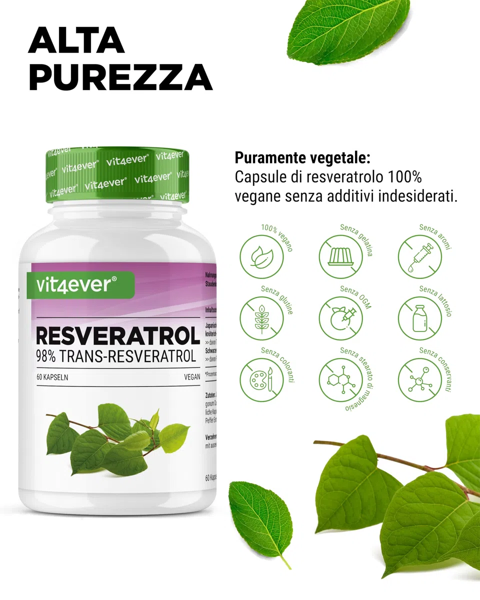 Resveratrolo - 520 mg per capsula - 98% trans-resveratrolo da estratto di radice di nodo giapponese 100:1 + piperina per una biodisponibilità ottimizzata - 60 capsule - ad alto dosaggio - vegano