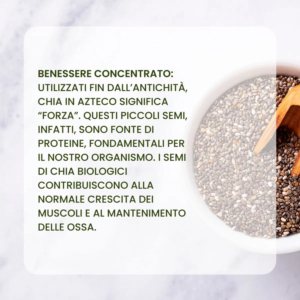 Benessence - Semi di Chia Biologici - 1 Kg