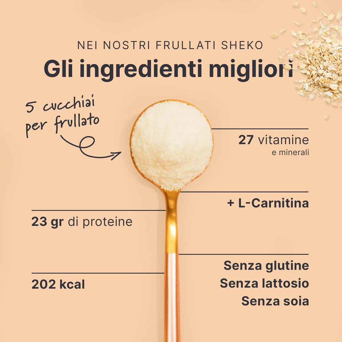 SHEKO - Frullato sostitutivo del pasto vegano - 14 frullati per barattolo - Alto contenuto proteico - Gusto naturale - Frullato dimagrante - Dieta (700 g), Pure)