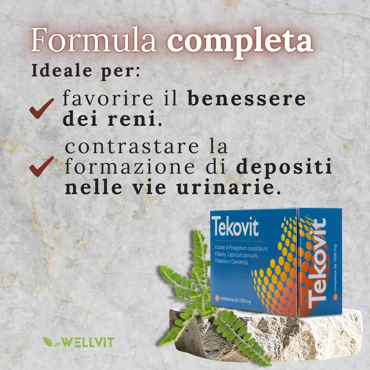 TEKOVIT Spaccapietra - Integratore Naturale con Fillanto Spaccapietra, Resveratrolo, Potassio e Camomilla, Benessere Renale e Vie Urinarie, Formula Completa - Made in Italy (60 Cps) – Wellvit