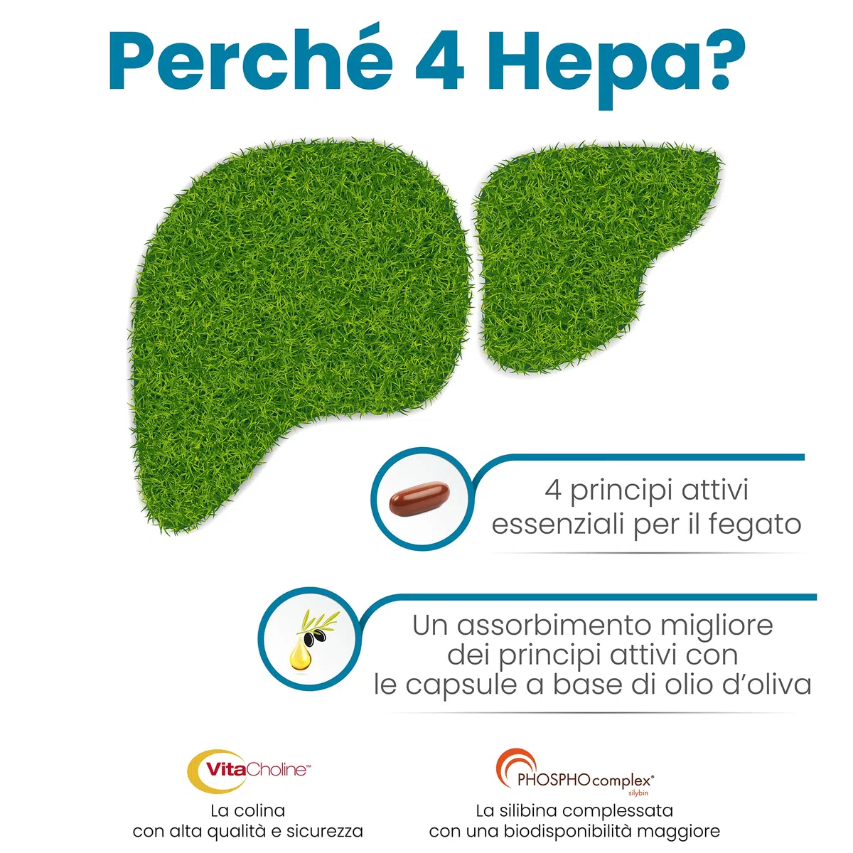 Sifar Nutra 4 Hepa | integratore depurativo fegato | per la normale funzionalità epatica | con carciofo, tarassaco, colina, silibina da cardo mariano | 30 capsule