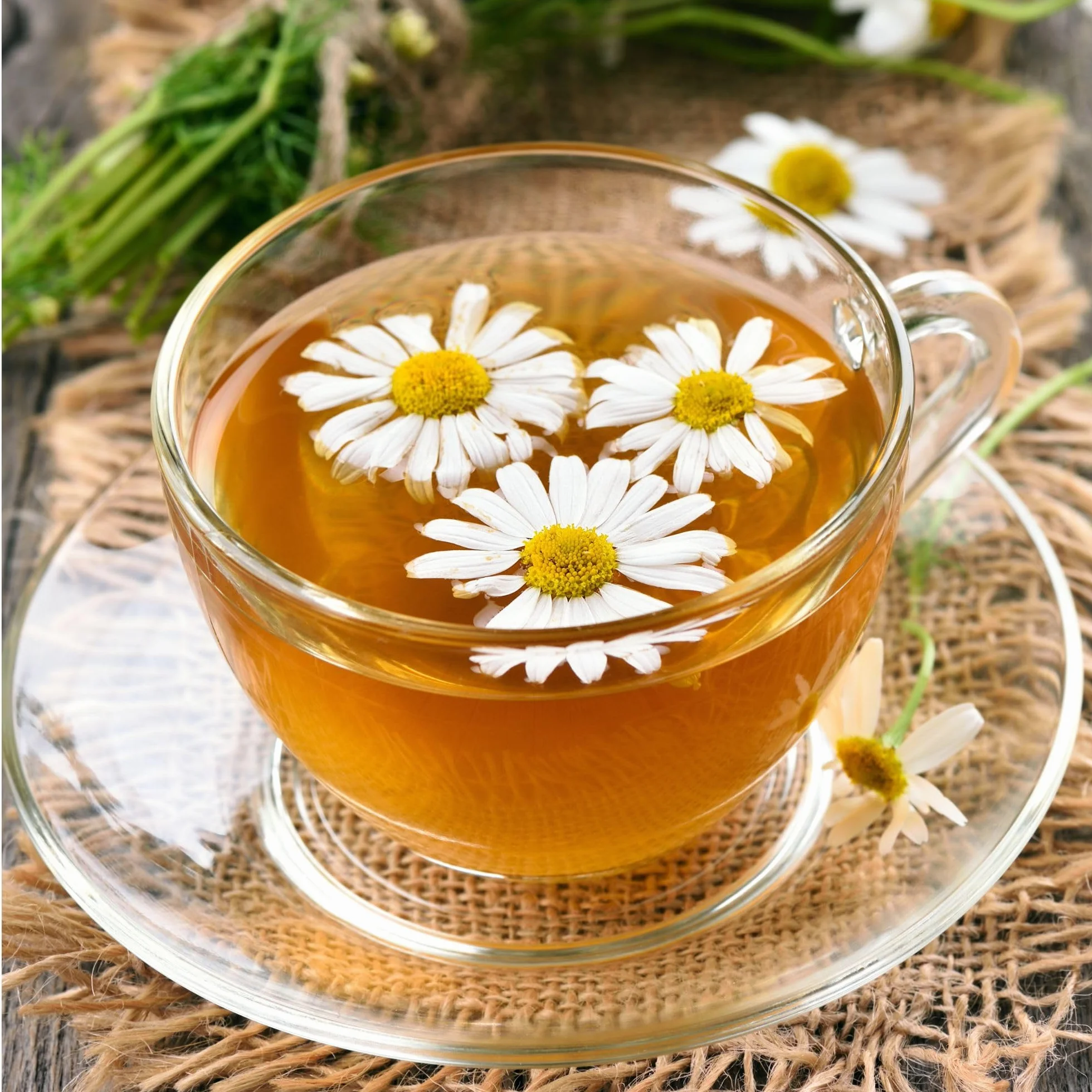 IDDA Herbal Camomilla Tisana 500g, Camomilla Fiori Essiccati Interi di Qualità Premium, Tè Sfuso