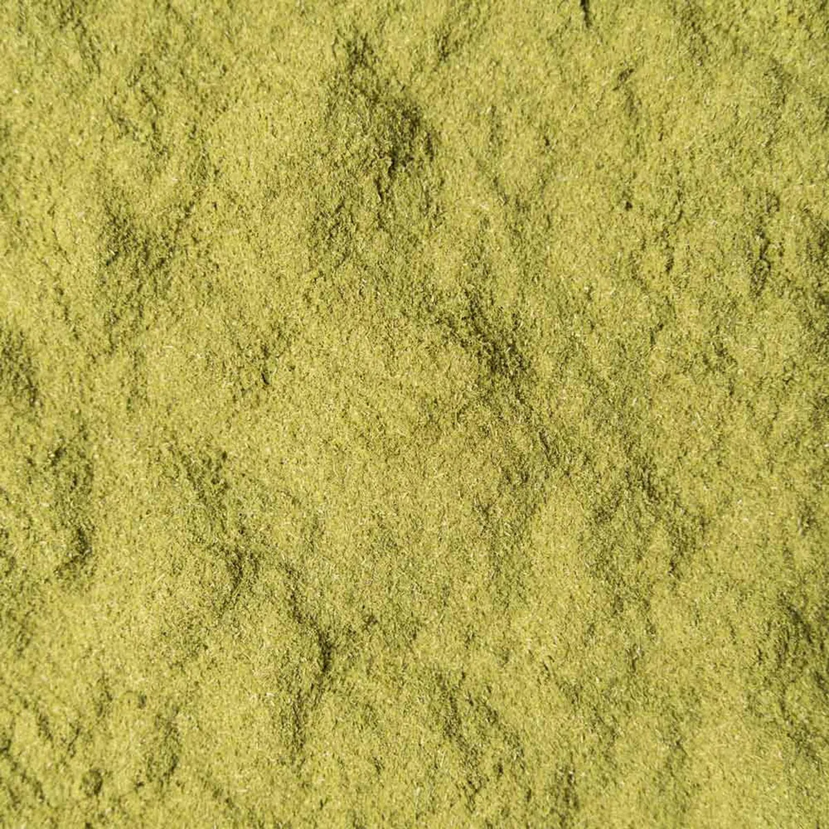 Polvere di orzo verde biologica 1kg (2x500g) - polvere di orzo giovane e fine dalla Germania - certificata Bio - gusto delicato - confezionata e controllata in Germania - Biotiva