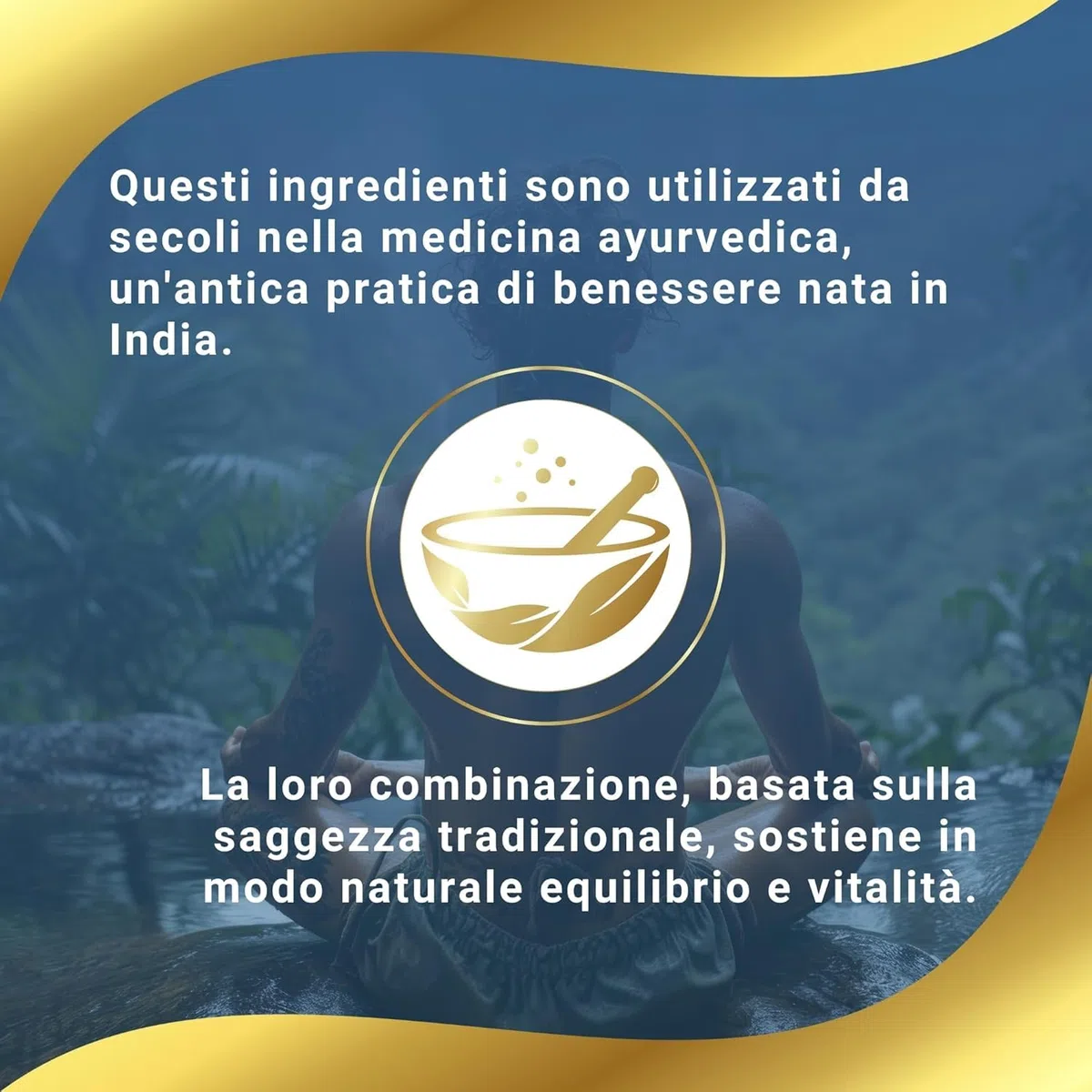 AG nature Shilajit Puro Himalayano Originale Forte 120Cps | Complex 8 in 1 da 15250mg con Ashwagandha, Rhodiola Rosea, Curcuma, Ortica, Ginkgo Biloba e Panax Ginseng