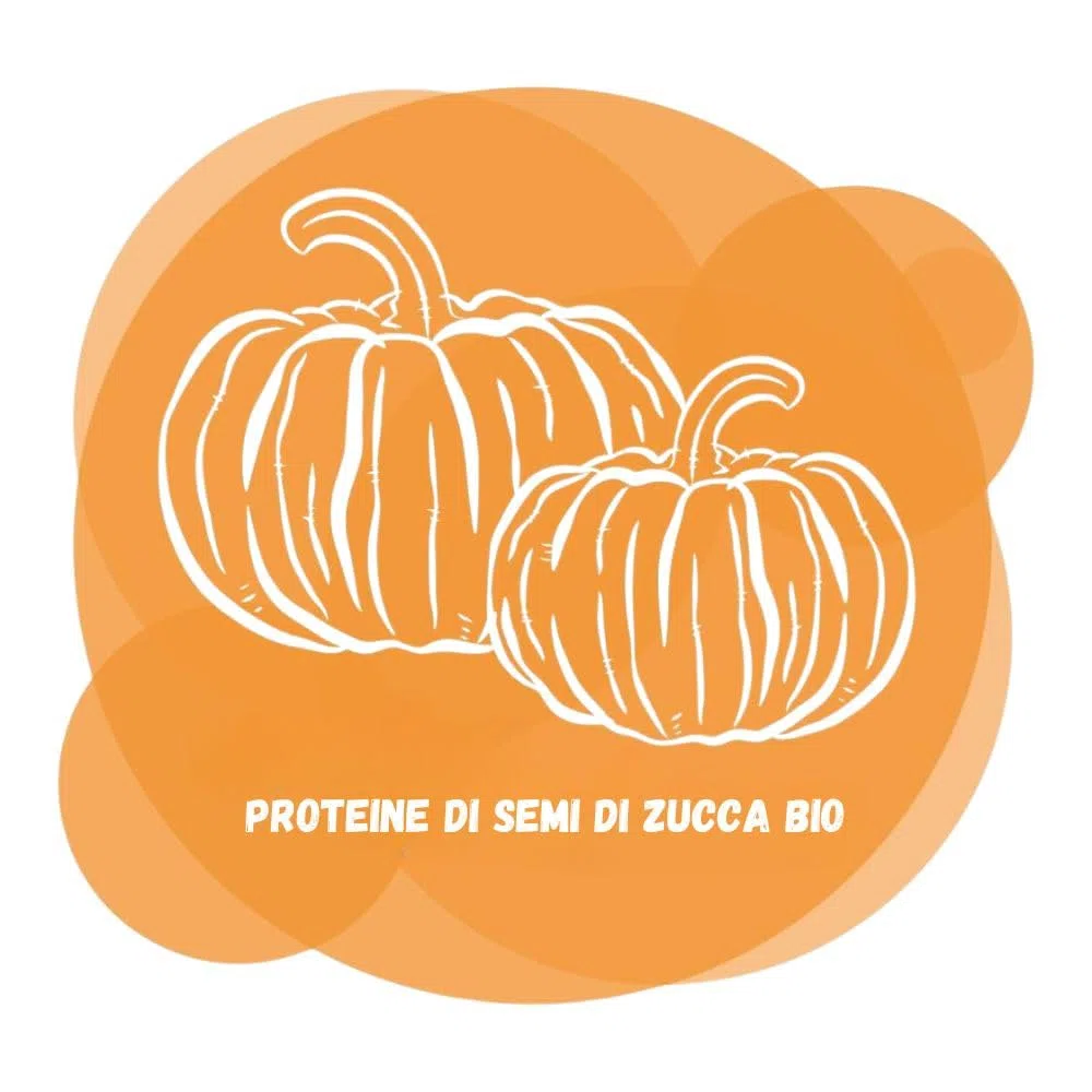 Energy Feelings Proteine Vegane di Zucca in Polvere Bio 1Kg - Vegan Protein Biologiche Senza Lattosio, Glutine nè Zuccheri Aggiunti - Nutrizione Sportiva