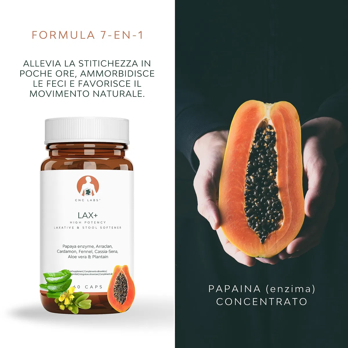LAX+ Integratore Alimentare 2x Bottiglie con Senna, Papaya, Finocchio, Aloe e Piantaggine – 120 Capsule