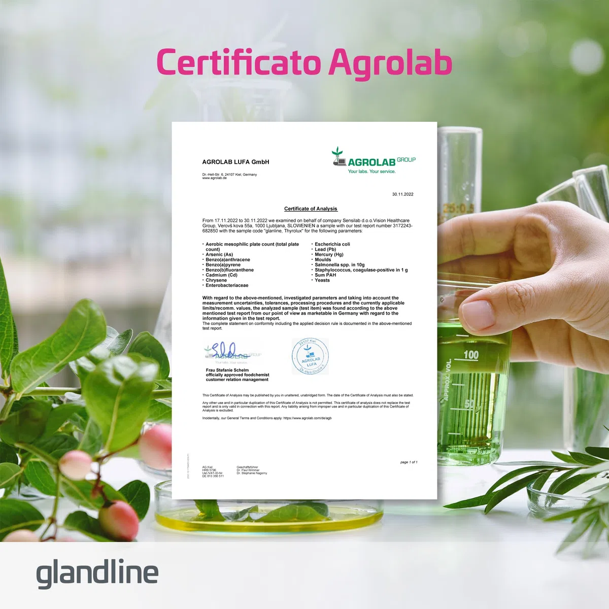 Tiroide - Compresse di iodio - L tirosina, Iodio, Selenio, Magnesio, Schisandra, Zinco- Nutrienti e minerali di origine vegetale - 360 capsule - Thyrolux Sensilab