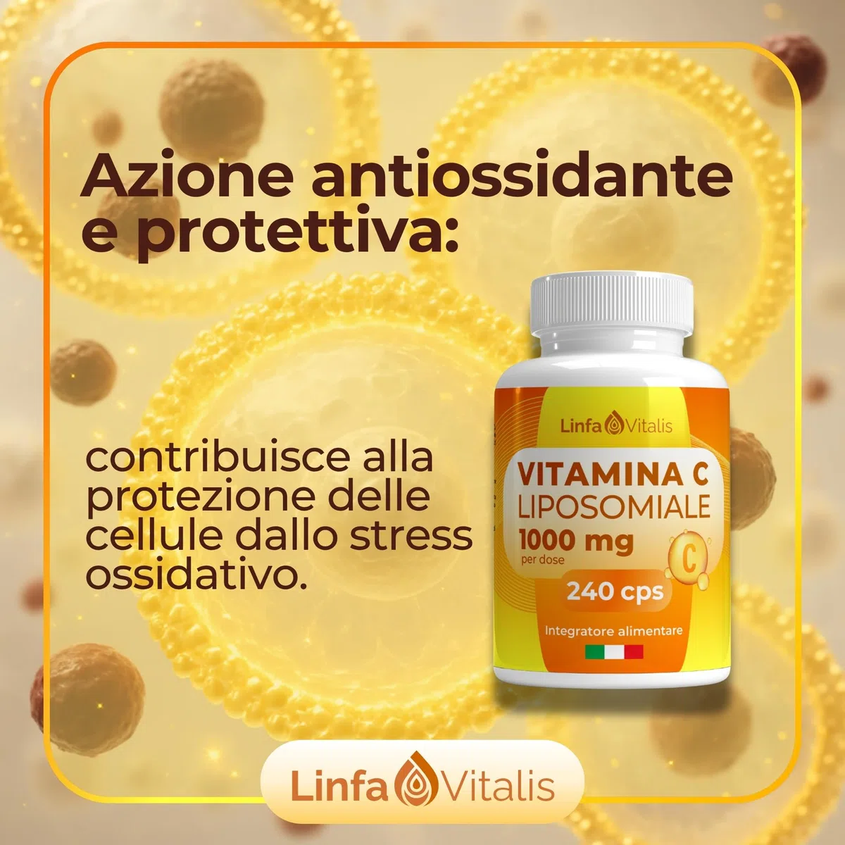 Vitamina C Liposomiale 1000mg Alto Dosaggio 240Cps Vegane (4 Mesi) - Contribuisce alla Riduzione della Stanchezza e Protezione dallo Stress Ossidativo