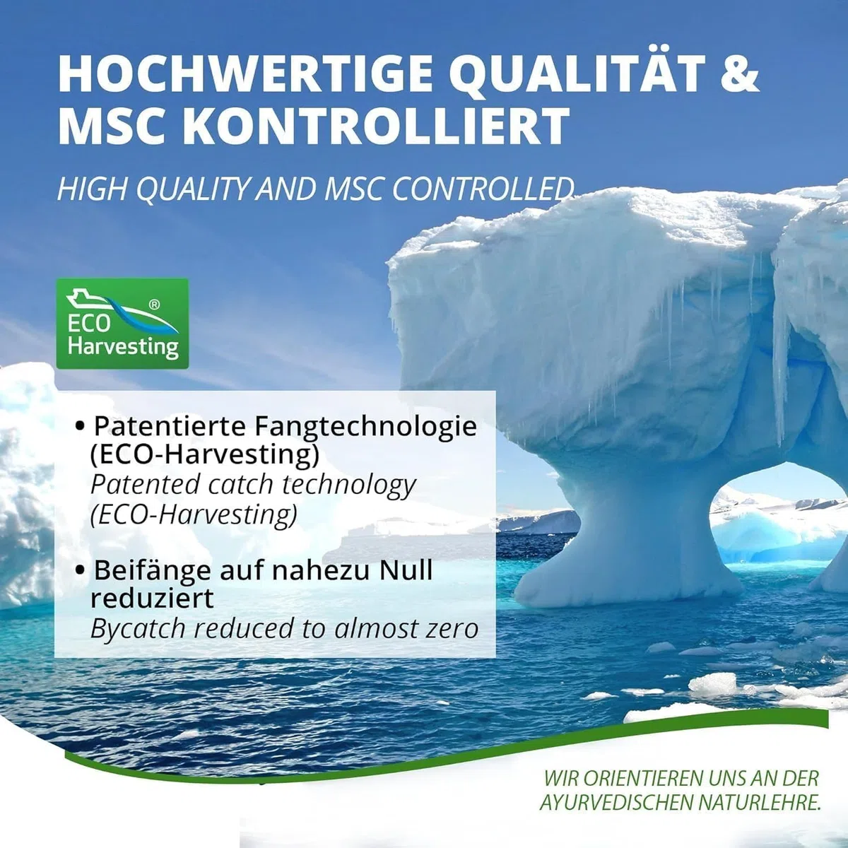 MoriVeda Olio di krill Superba Premium, capsule softgel, con rivoluzionario olio Omega 3, astaxantina esterificata, antiossidanti e vitamine, certificato MSC e sostenibile, 180 pezzi