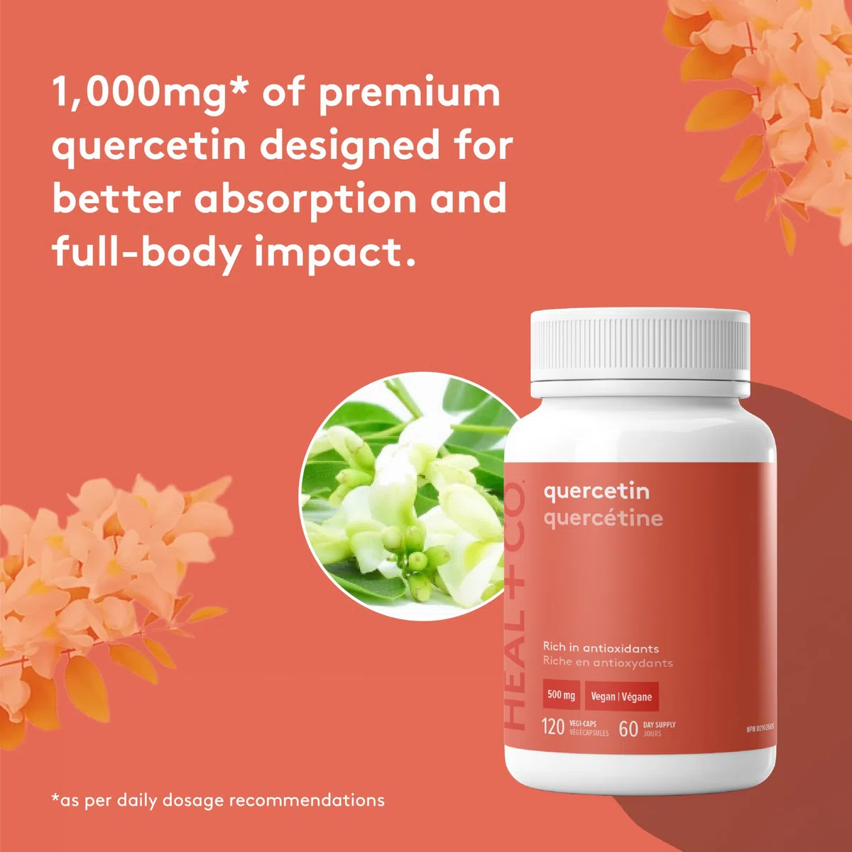HEAL + CO. Quercetin Supplement | High Potency, 1000mg per serving | Antioxidant | 120 x 500 mg Capsules