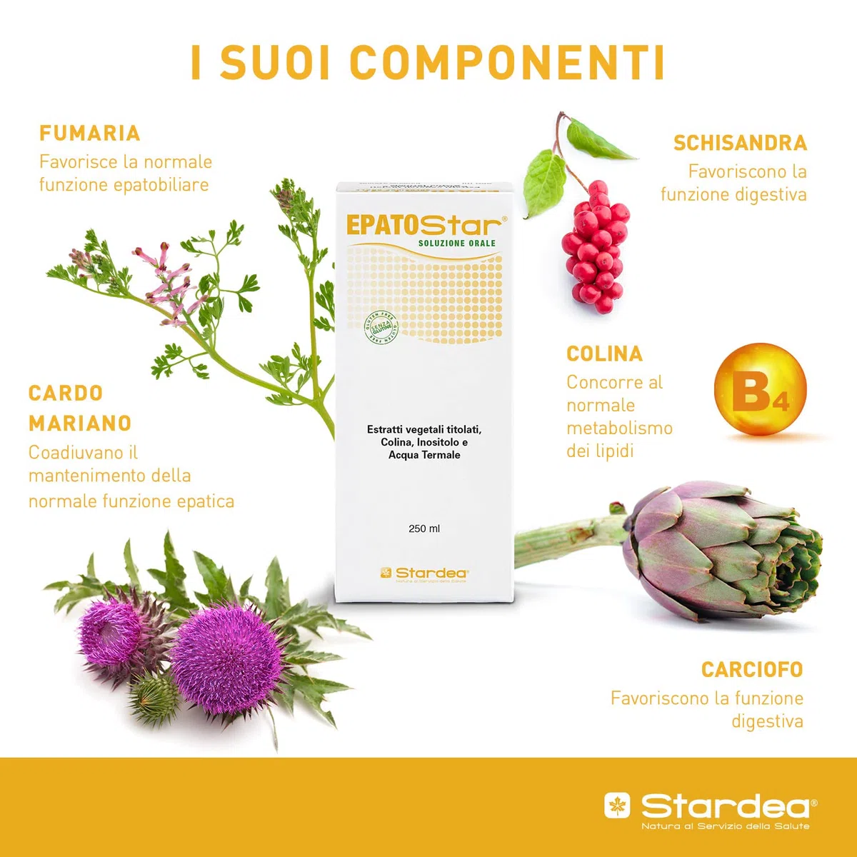Epatostar® Soluzione Orale Stardea 250ml