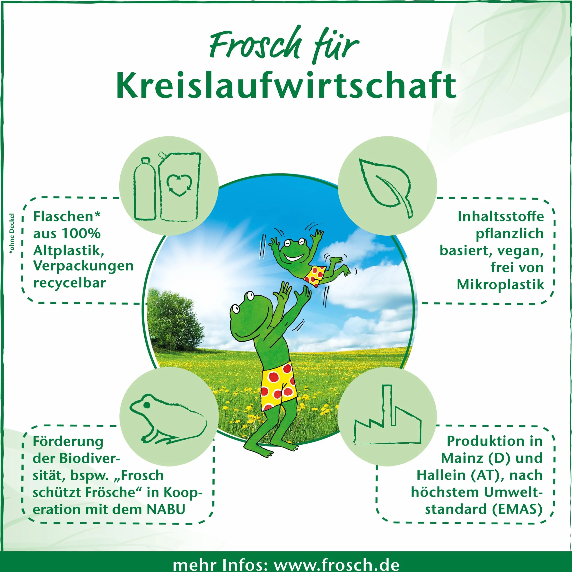 Frosch Baby Detersivo in polvere, formula ipoallergenica con estratti di camomilla, per chi soffre di allergie e neonati