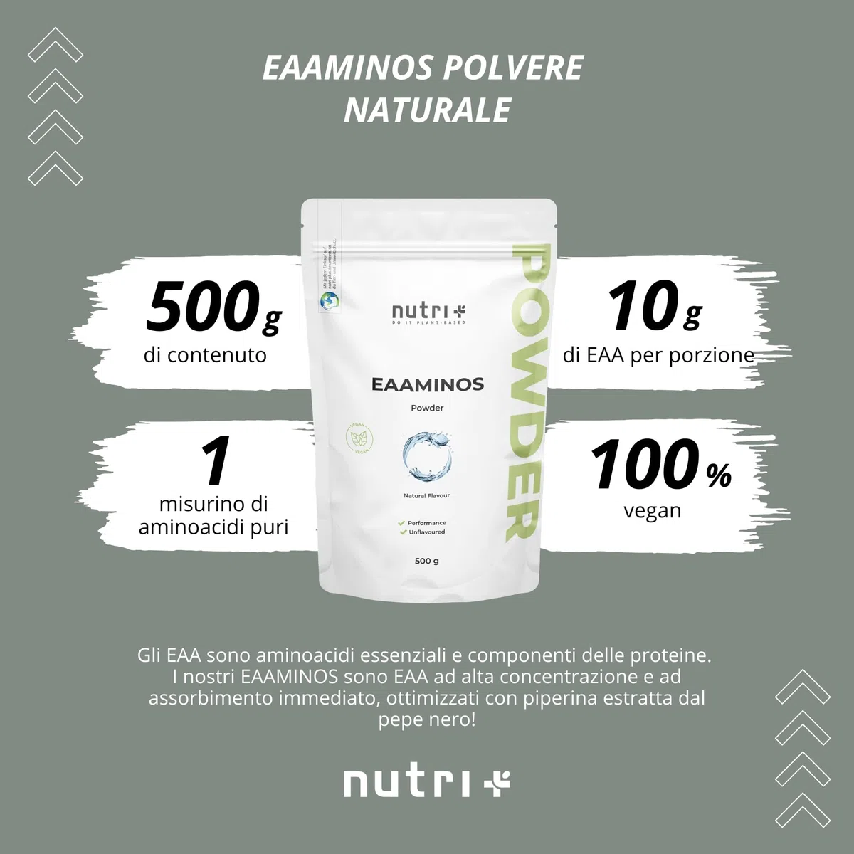 EAA polvere neutro 500 g - Dose elevata - EAA istantanei naturale senza dolcificanti, additivi e aromi artificiali - Aminoacidi essenziali - Aminoacidi essenziali vegani