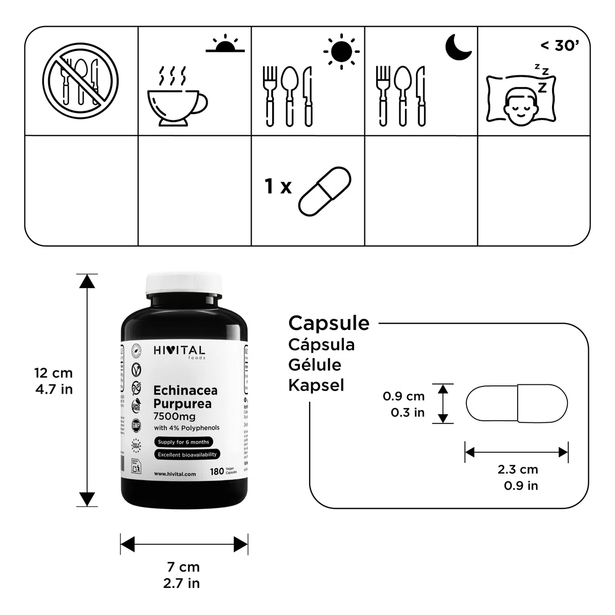 Echinacea 7500 mg. 180 capsule vegane per 6 mesi di trattamento. Estratto di Echinacea Purpurea con il 4% di Polifenoli. Prodotto in Europa da HIVITAL