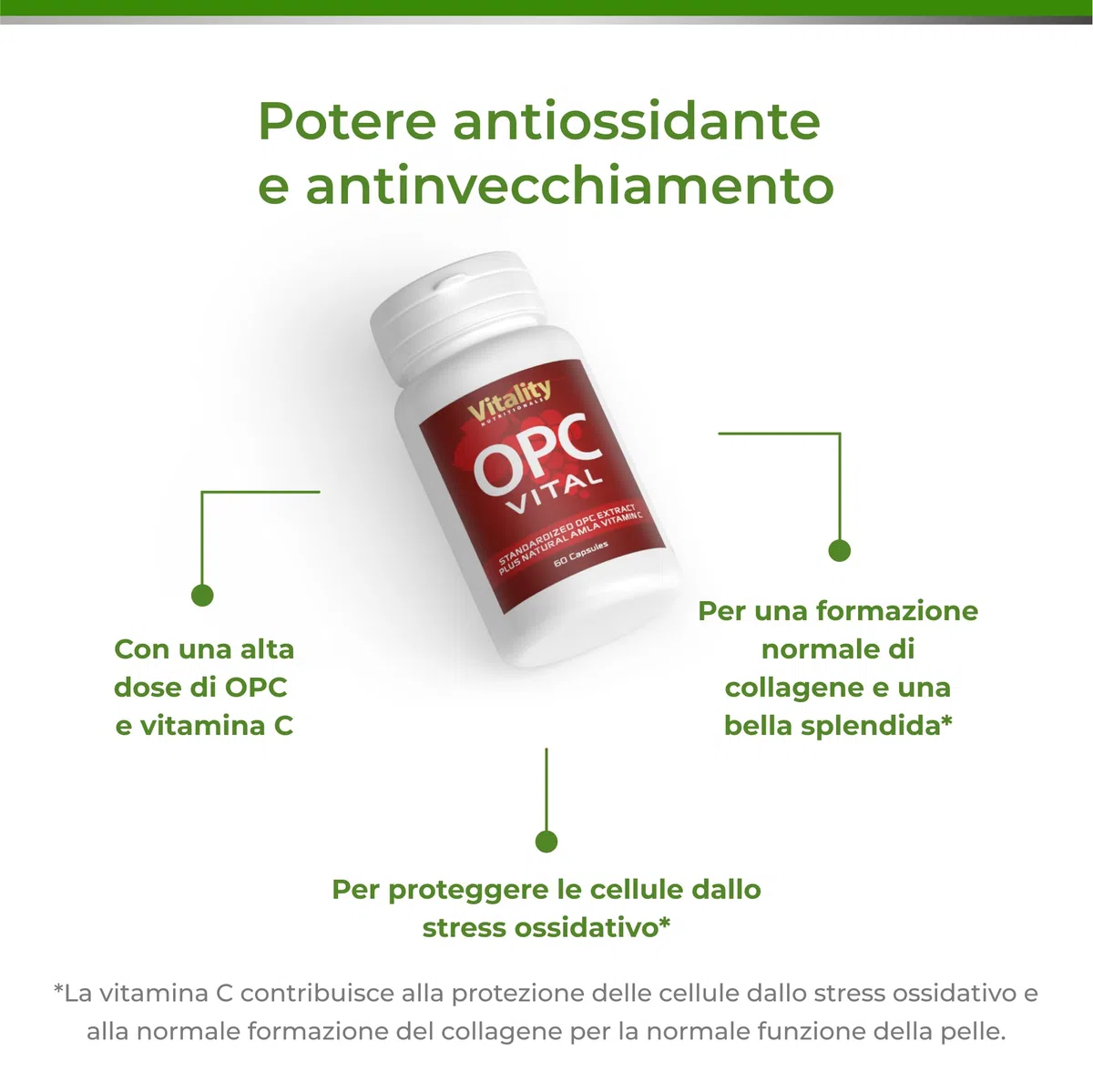 Estratto di Semi d'Uva, OPC, Estratto di Amla e Vitamina C. Integratore di Uva Francese Pregiata. Anti-invecchiamento, Antiossidanti. Senza Additivi. Vitality Nutritionals by VitaminExpress
