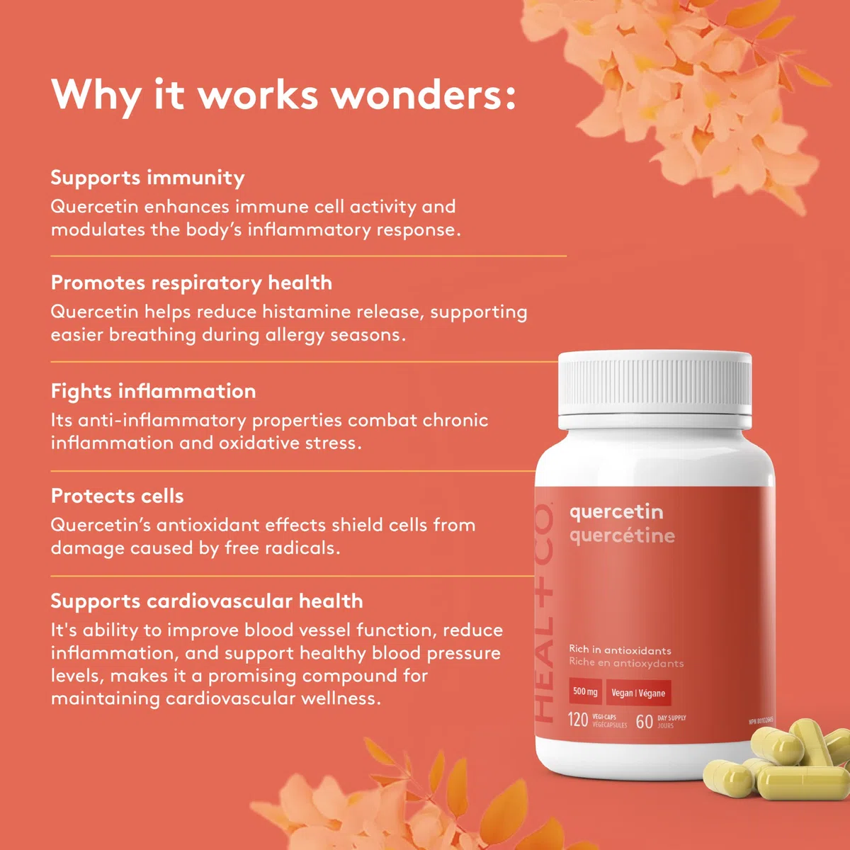 HEAL + CO. Quercetin Supplement | High Potency, 1000mg per serving | Antioxidant | 120 x 500 mg Capsules