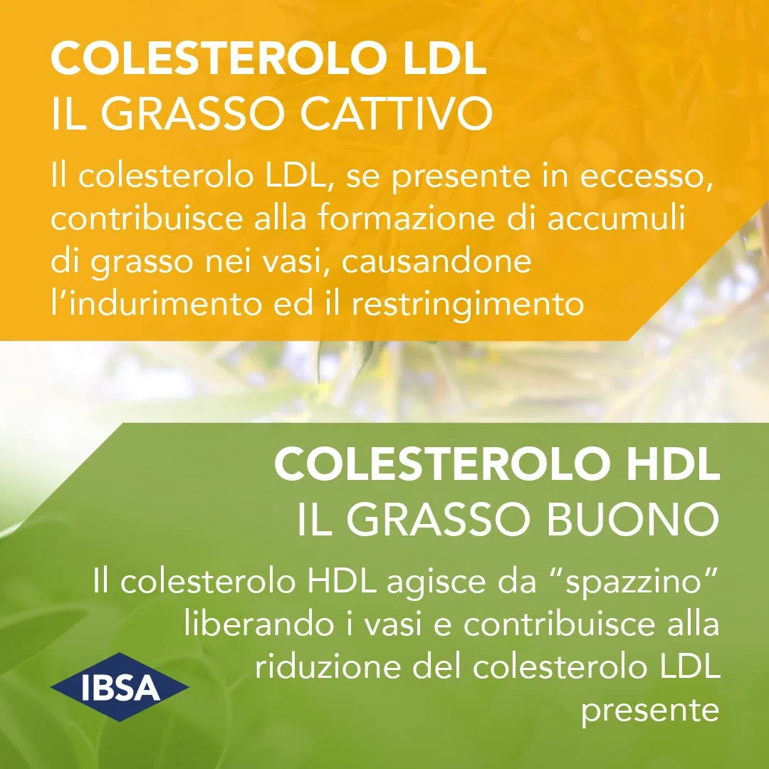 IBSA Colesia Soft Gel 30 Bipack Capsule Molli Made in Italy Integratore alimentare a base di fitosteroli, riso rosso e polifenoli dell’olivo, con Fieno greco e Olio di lino