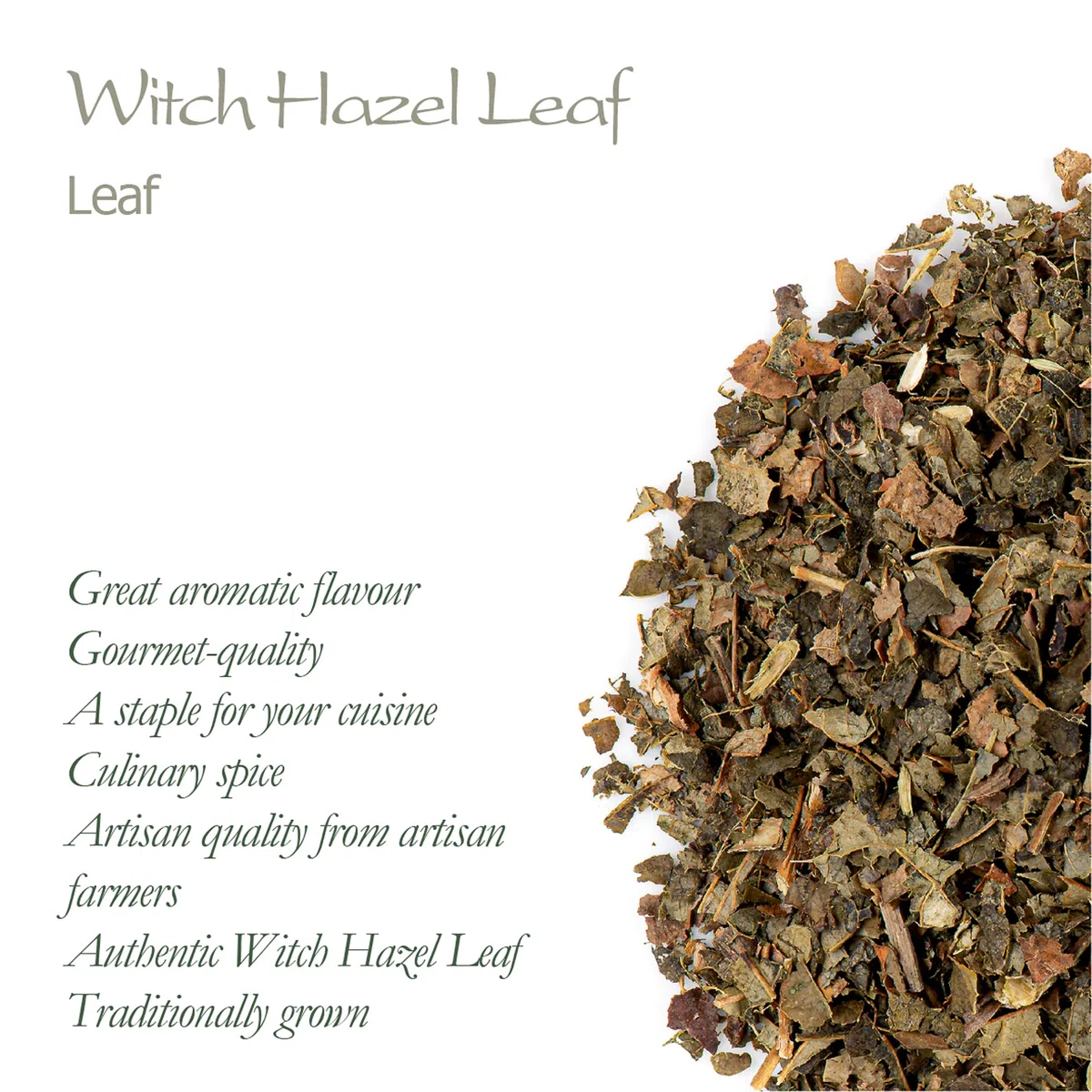 Foglia Di Amamelide Biologico - Hamamelis Virginiana -