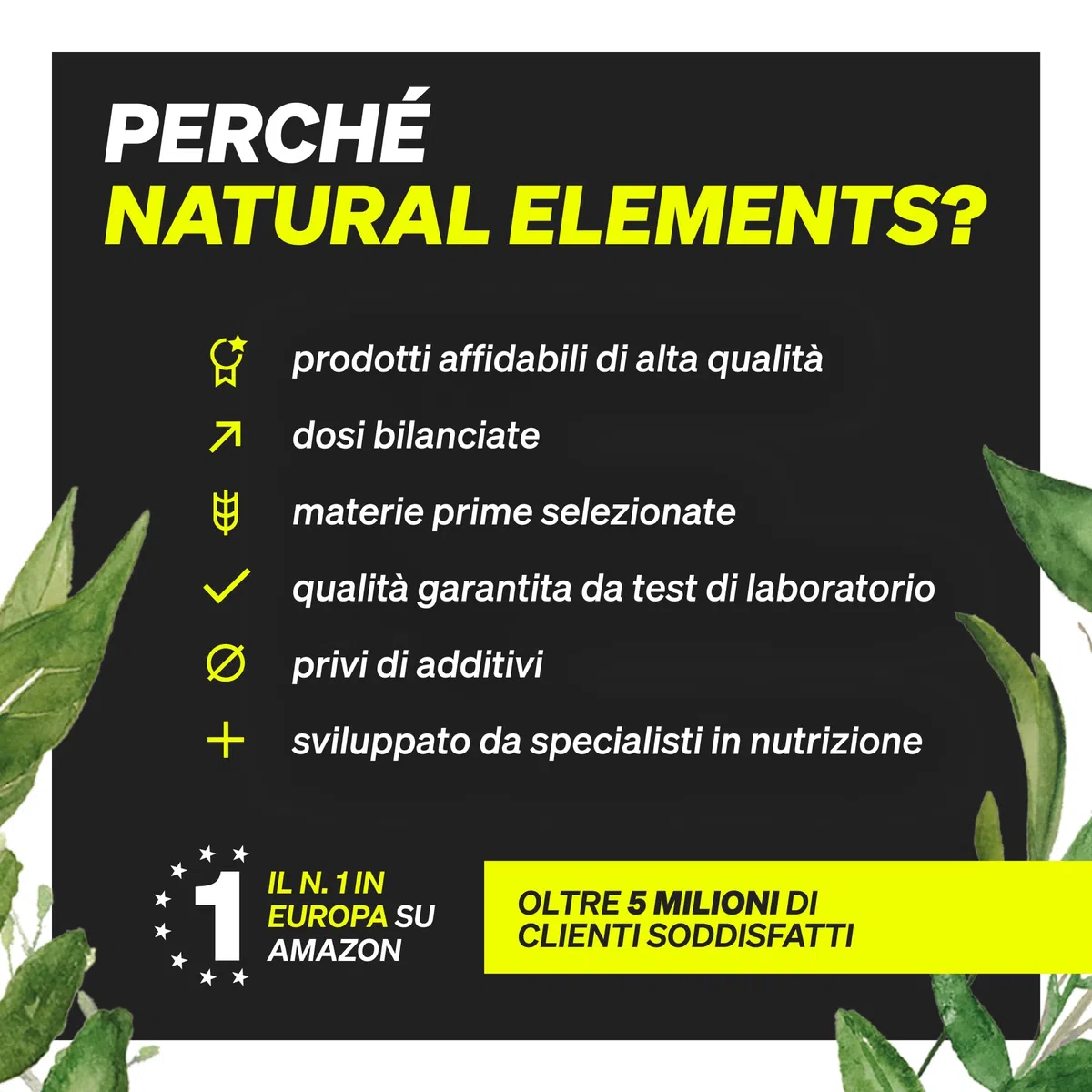 L-Arginina – 365 capsule vegane – 4500 mg di L-arginina HCL vegetale per dose giornaliera (3750 mg di L-arginina pura) – ad alto dosaggio – prodotta e testata in laboratorio in Germania