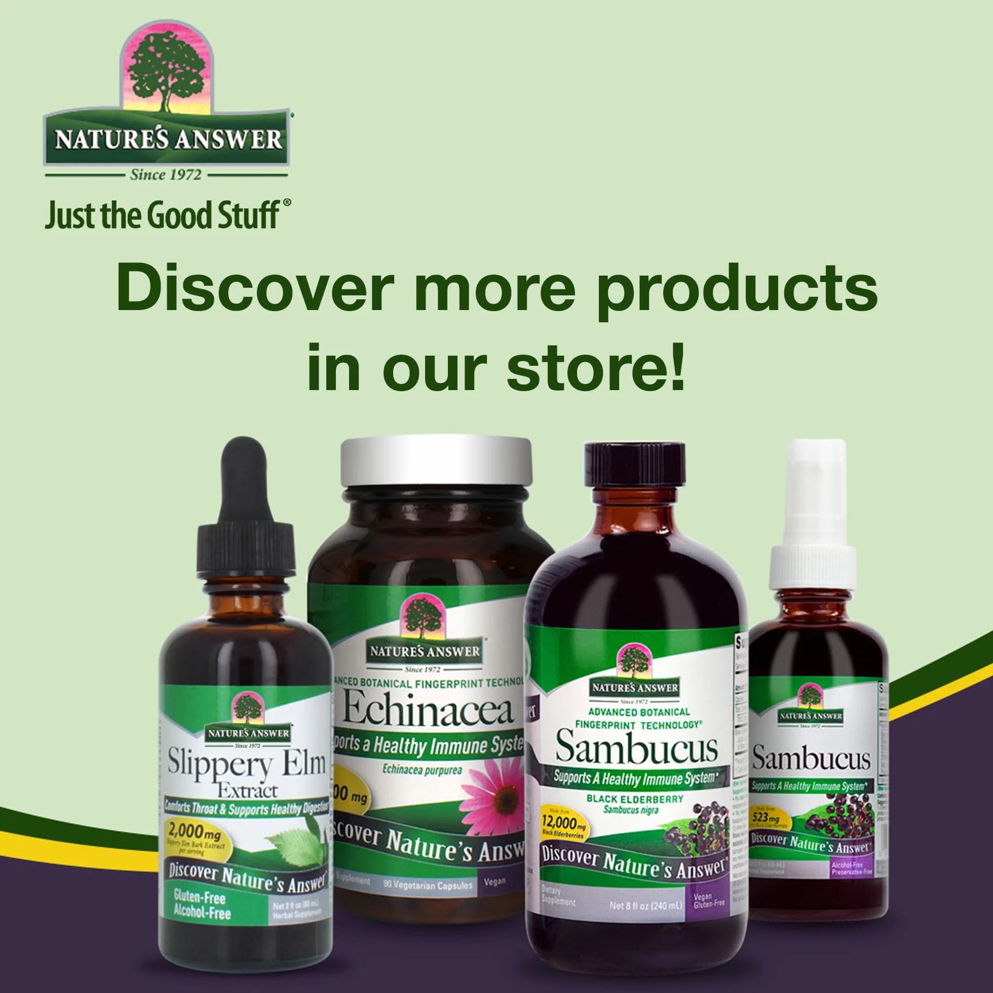 Natural's Answer Exinecia Goldenseal - 1k mg - 60 ml