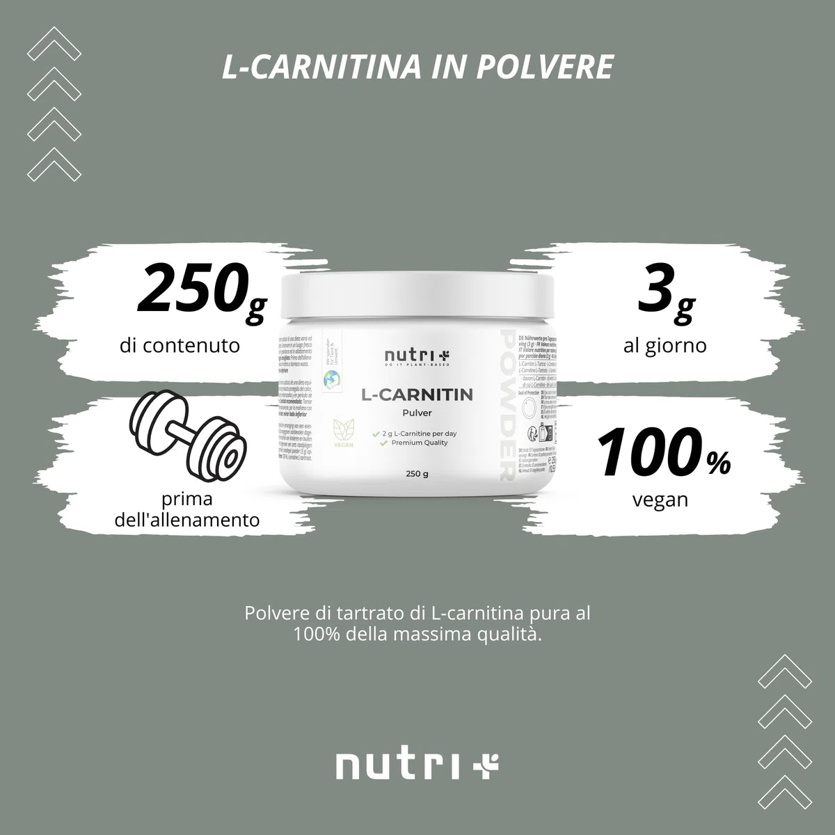 nutri + L-carnitina in Polvere - 100% Carnitina Tartrato vegan Pure Powder 250 g - 3000mg per Porzione - Acido tartarico senza Additivi
