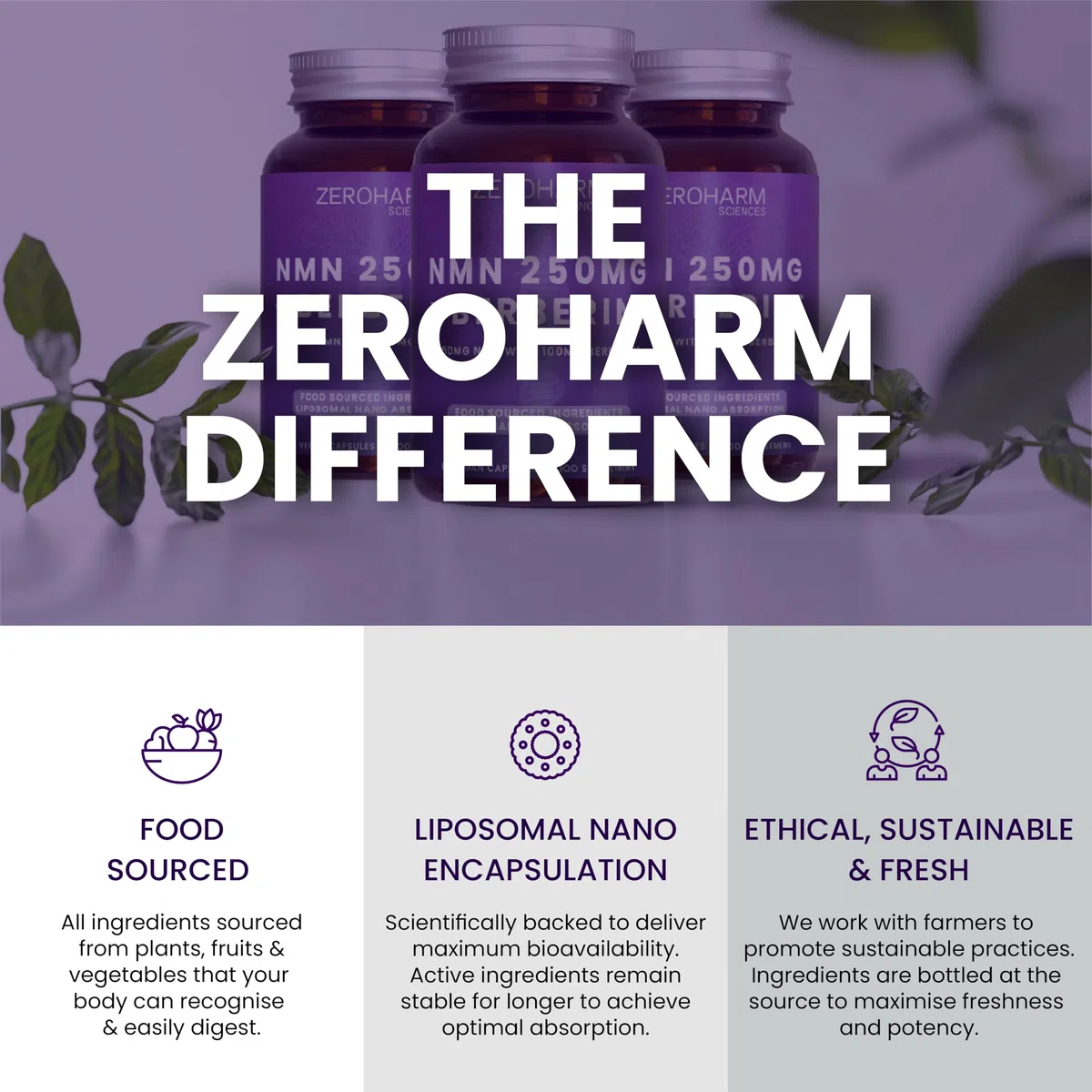 ZEROHARM NMN 250 mg con berberina – Assorbimento liposomiale – Alimentato da ingredienti alimentari veri – Confezione da 60 (confezione da 1)
