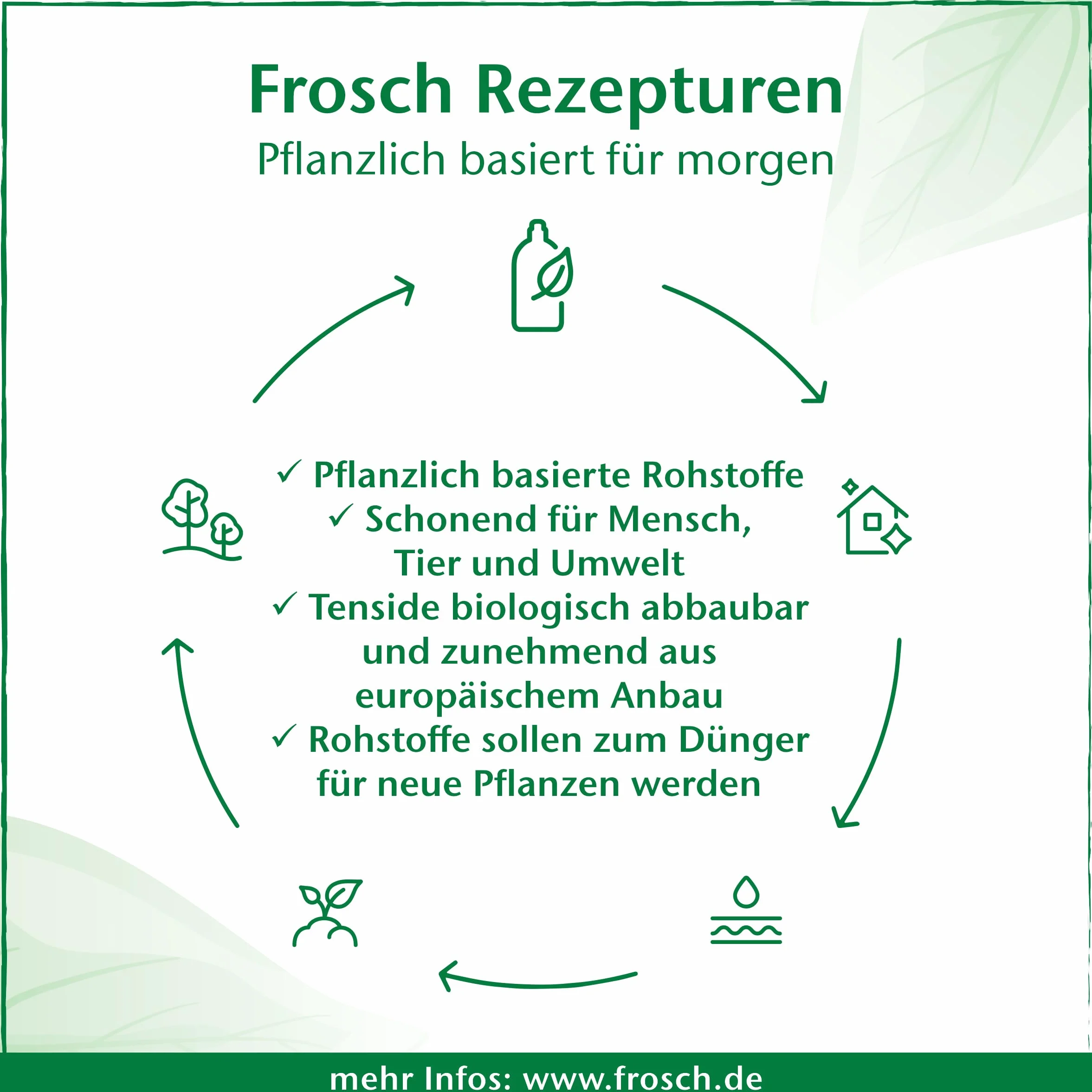 Frosch Baby Detersivo in polvere, formula ipoallergenica con estratti di camomilla, per chi soffre di allergie e neonati