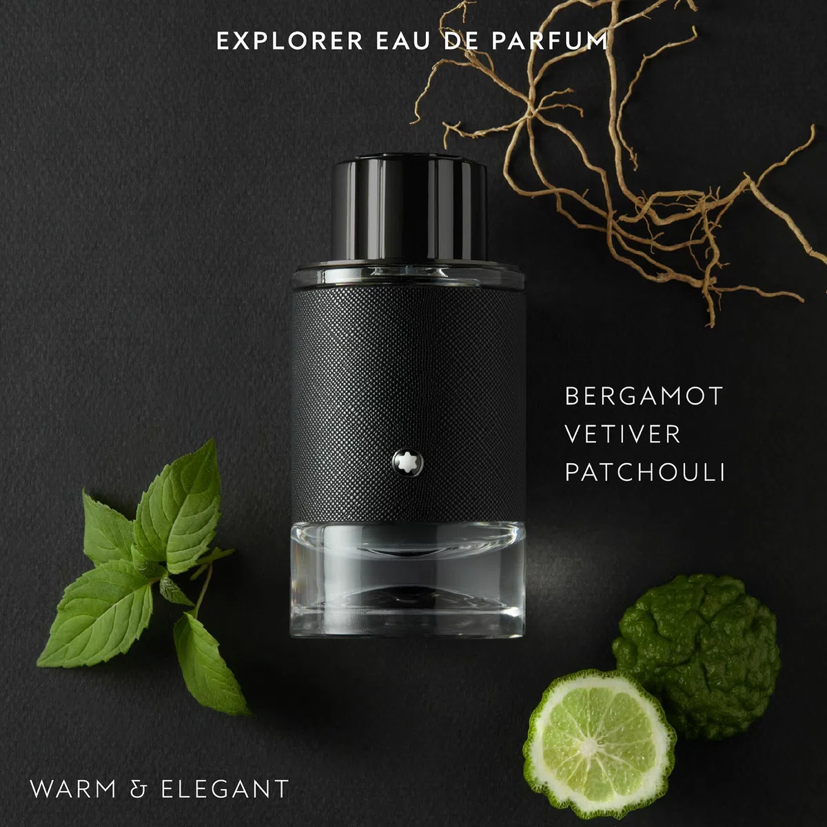 Explorer As Balm 150 Ml, soluzione versatile per diverse esigenze, si integra senza difficoltà nelle abitudini quotidiane, flacone da 150 ml indicato per essere utilizzato con continuità durante tutto