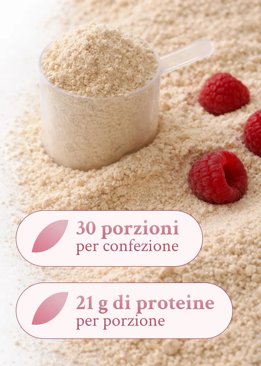 Intenson Vegan Protein Powder Cioccolato Bianco Lampone, 900 g, 21 g Proteine per Porzione, 30 Porzioni, Pisello e Canapa, 100% Vegetale, Senza Lattosio, Senza Glutine, Senza Zucchero, Formula Clean