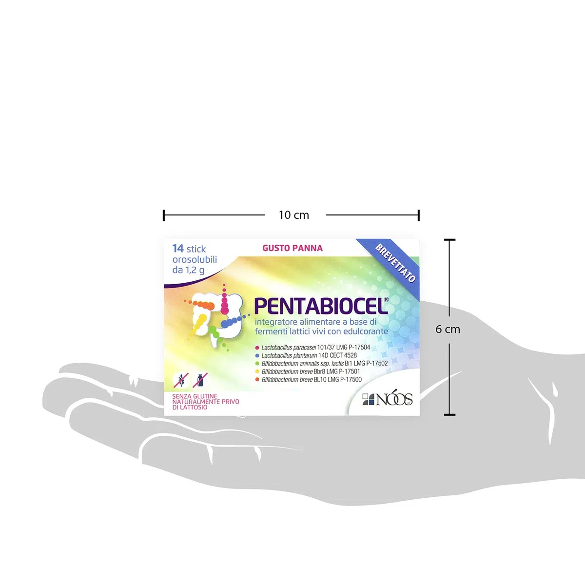 Fermenti Lattici Probiotici per Intestino 14 Stick Orosolubili Fermenti Lattici Vivi 20 Miliardi di Lattobacilli e Bifidobatteri Integratore Flora Intestinale e Difese Senza Glutine e Lattosio