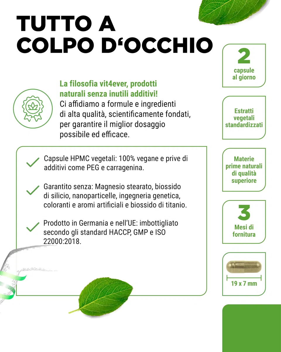 Complesso venoso - 180 capsule - Scorta di 3 mesi - Alto dosaggio di rutina, trifoglio, estratto di ippocastano, manganese, rame - Estratti pregiati - Vegan