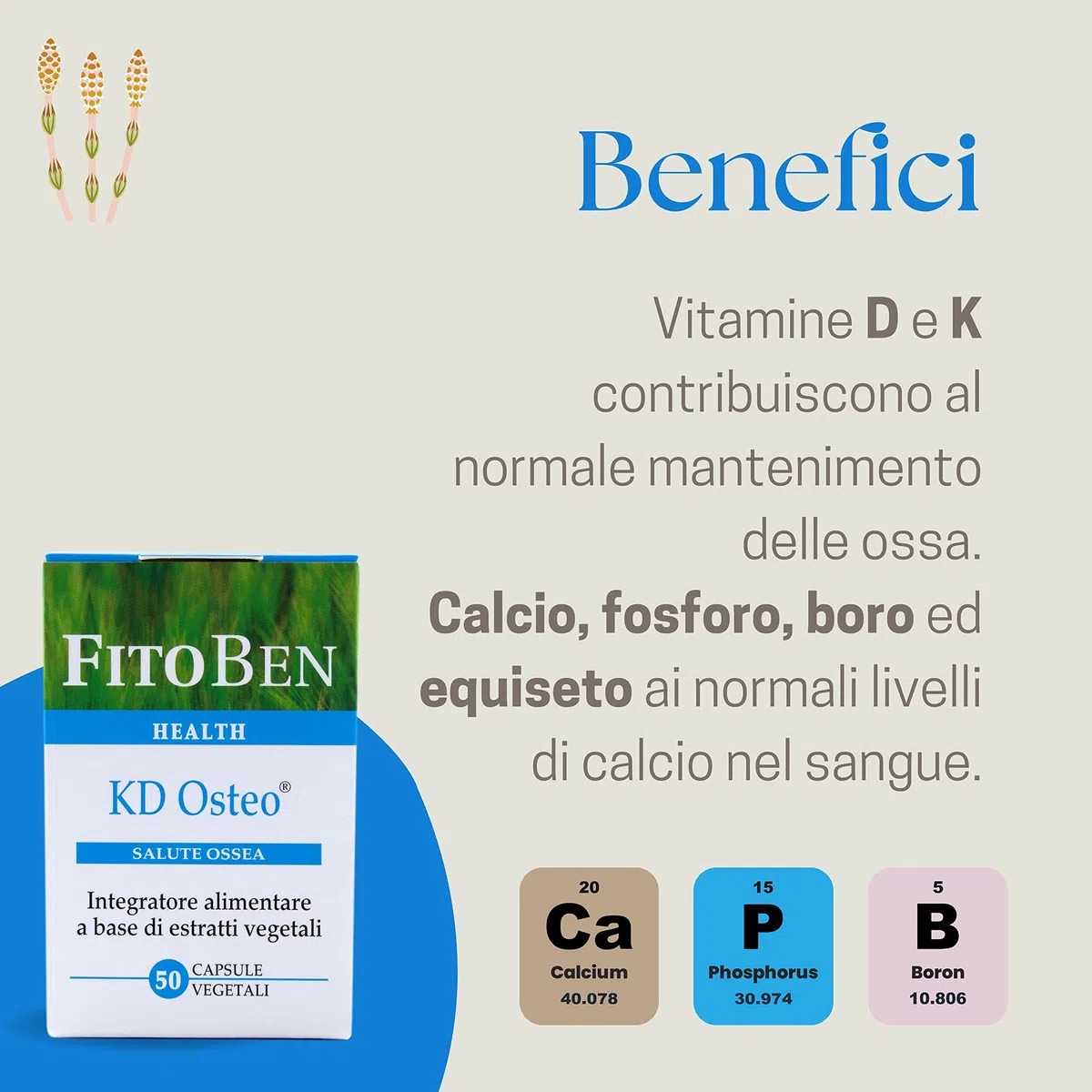 Fitoben | Kd Osteo Integratore Alimentare 100% di Origine Naturale con Vitamine D3 e K2, Boro ed Equiseto per Ossa Fragili, 50 Capsule Vegetali