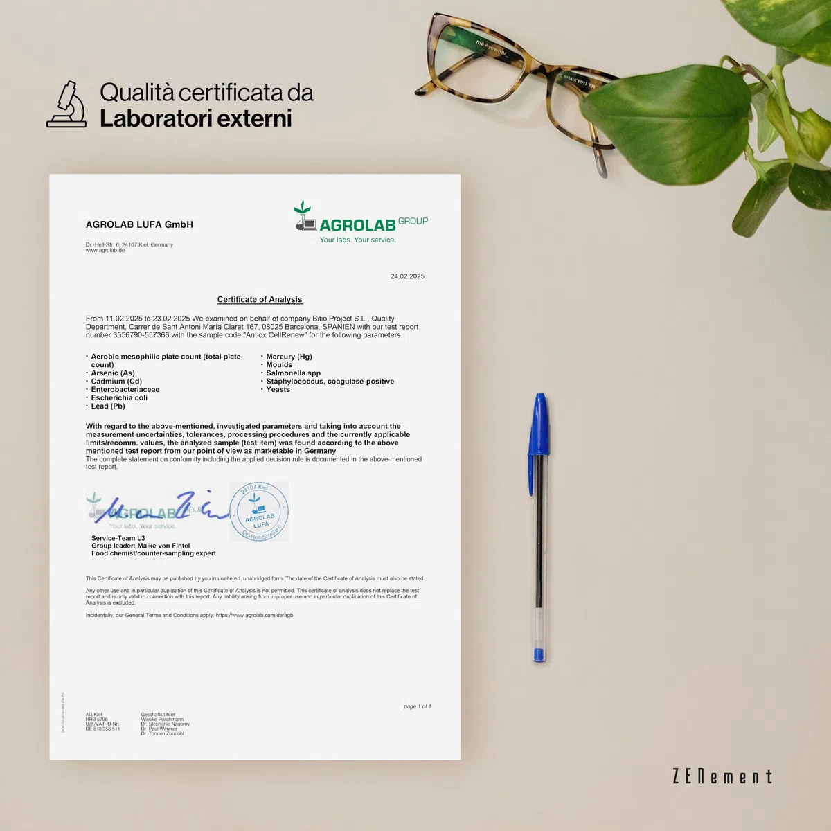 Antiox Complex con Trans-Resveratrol, CoQ10, NAC, Melograno, Vitamina C e Selenio - Antiossidante e di Supporto all'Energia Cellulare, 90 Capsule Vegane - Zenement