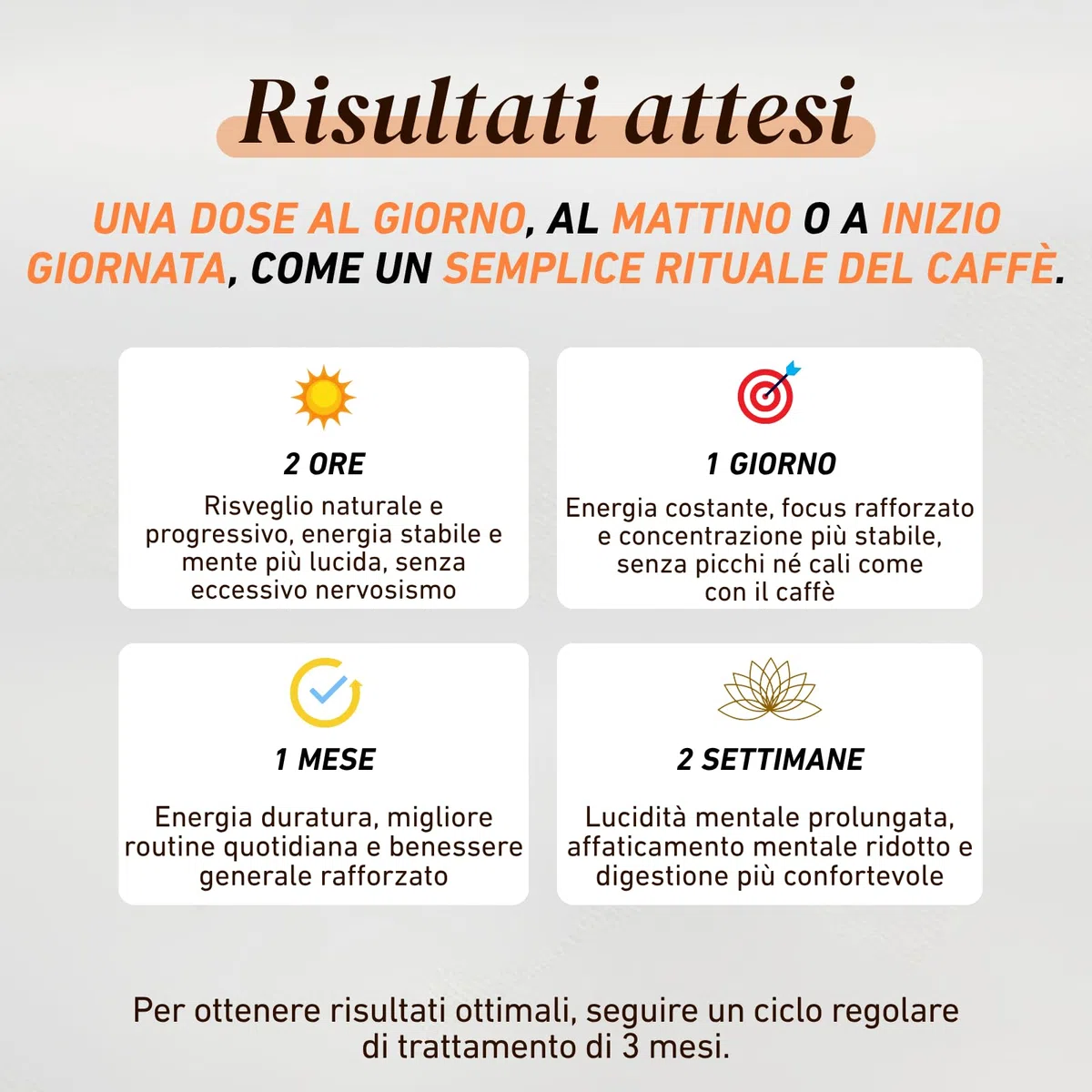 French Mush BOOST - Caffè Bio con Funghi | Caffè, Cicoria, Lion’s Mane, Chaga, Maitake & Pleurotus | Bevanda Vegetale - Senza Zuccheri Aggiunti - Prodotto in Francia - 20 Dosi