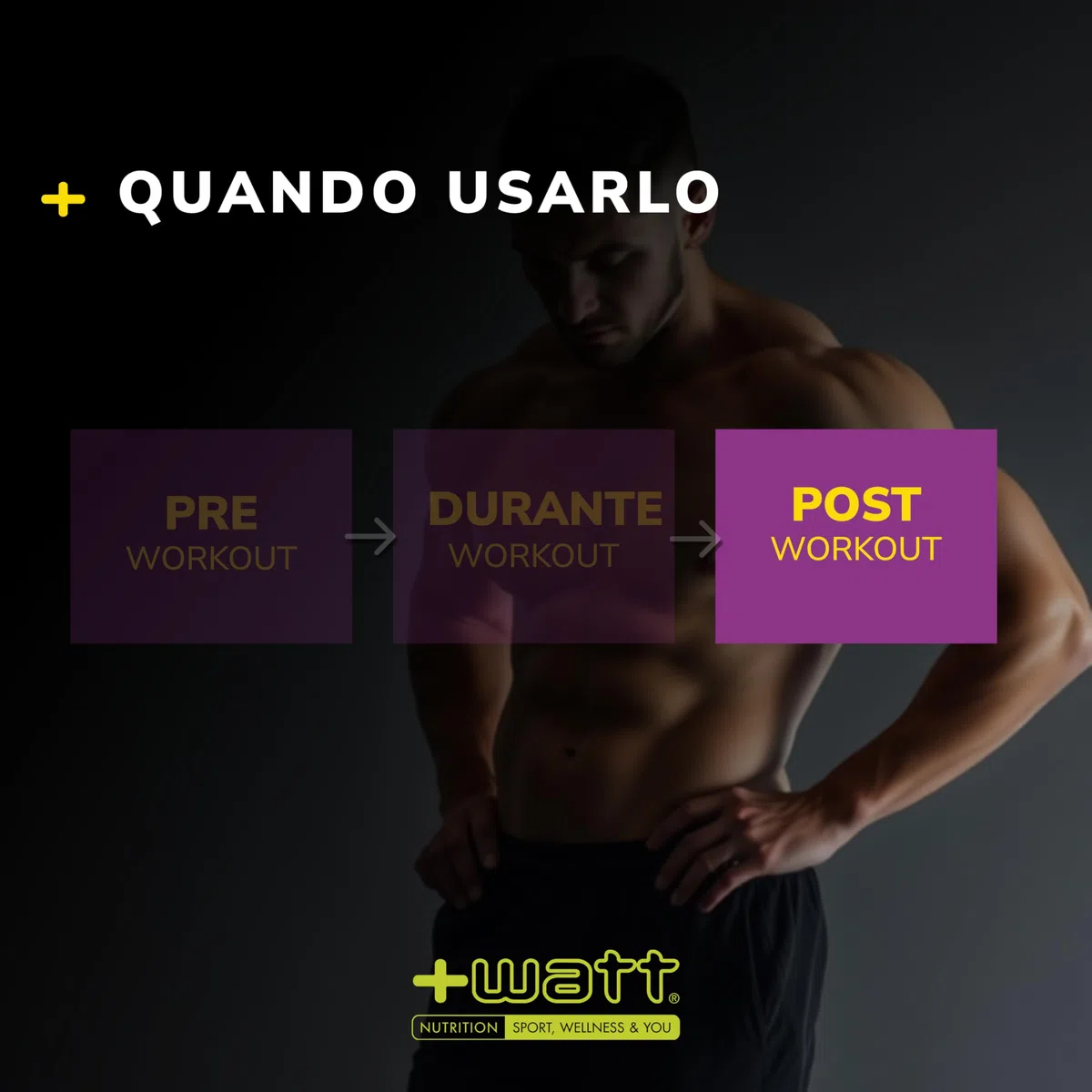 RM1 New Formula (BCAA 8.1.1) - Recovery Mix Post Workout - Formato: 500 g - Gusto Arancia