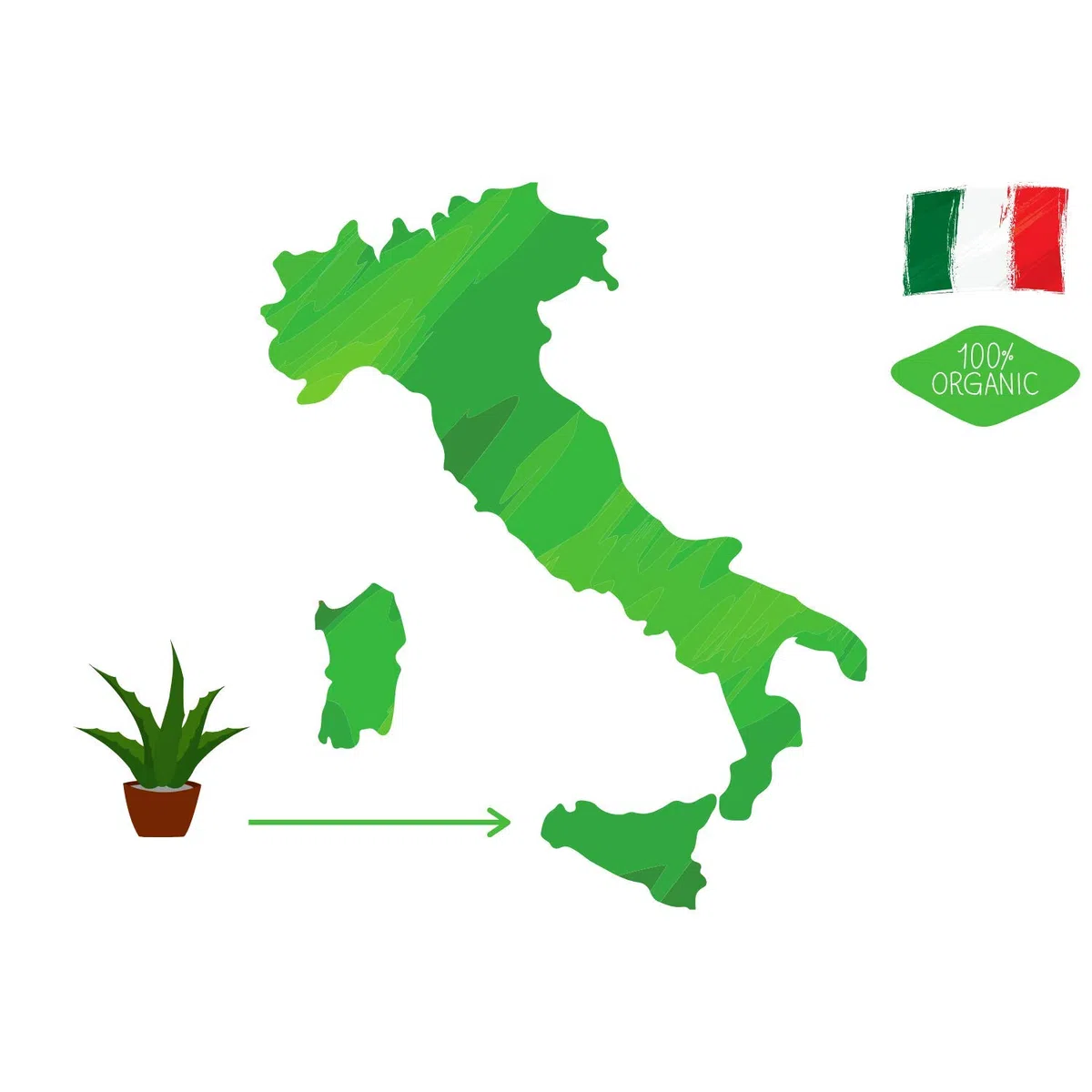 Vonderweid – Aloe Arborescens Padre Zago | Aloe Arborescens Biologica da Bere con Miele e Distillato di Grano | Integratore Naturale per Benessere Intestinale, Regolarità e Detox Fegato | 830 g