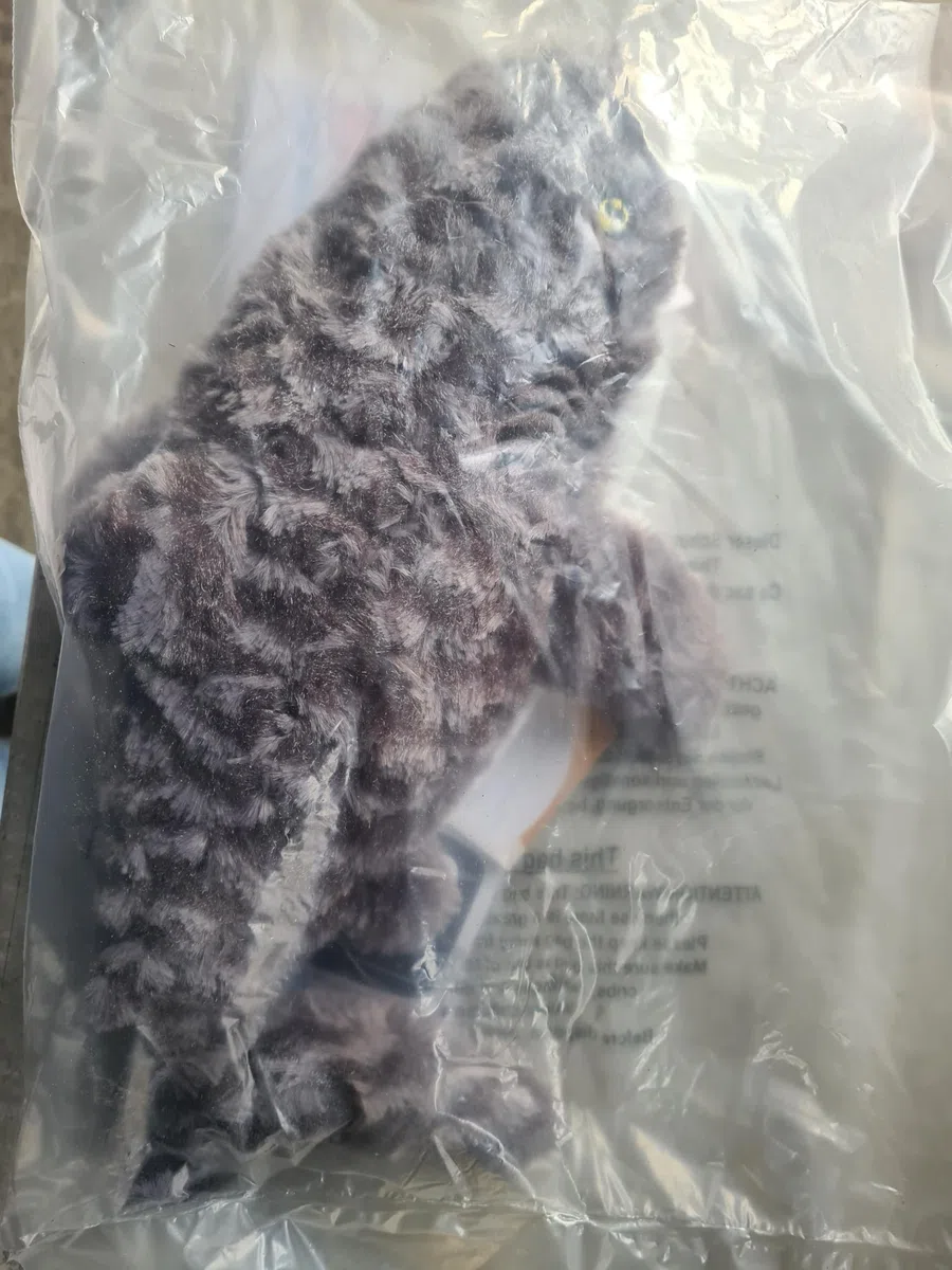 Habibi Plush Cuscino termico per bambini e adulti – 2046 squalo con riempimento di miglio, peluche termico per riscaldare nel forno a microonde/forno, ideale anche per bambini (squalo)