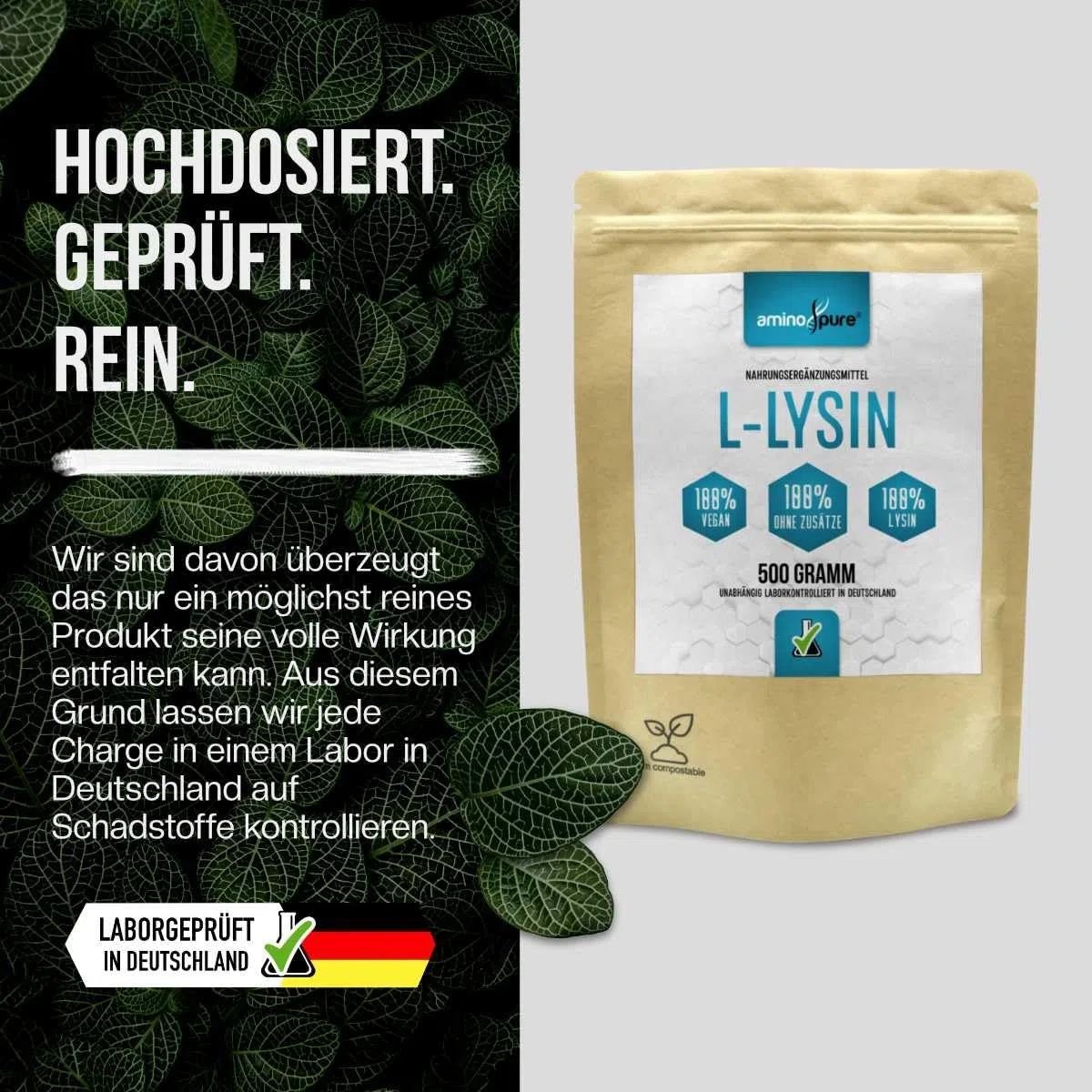 Polvere di lisina pura | L-Lisina pura senza additivi | 250 porzioni (2 grammi al giorno) | 100% vegano e privo di sostanze nocive in laboratorio con certificato | 500 grammi